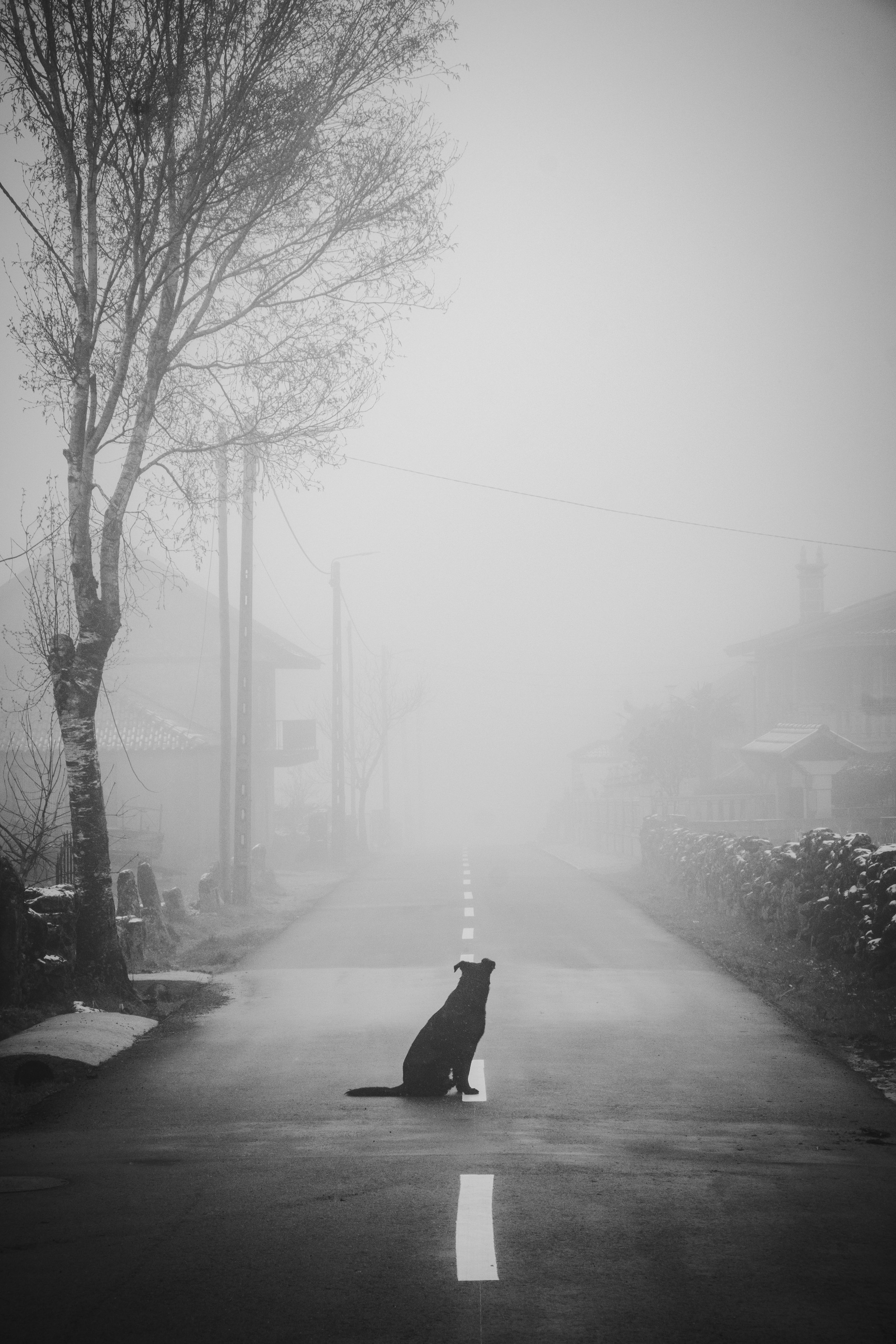 V_Sem título-2417_Print File copiar.jpg