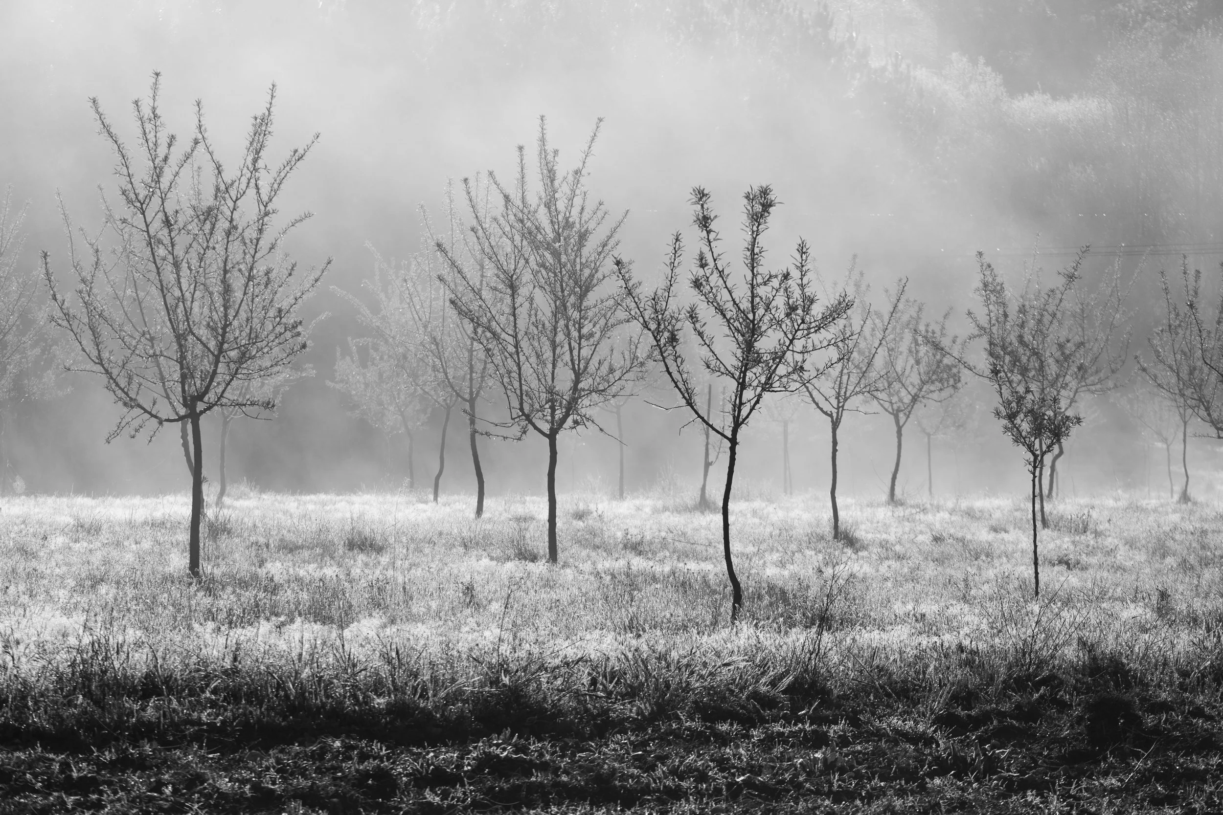 H_DSCF1241_Print File copiar.jpg