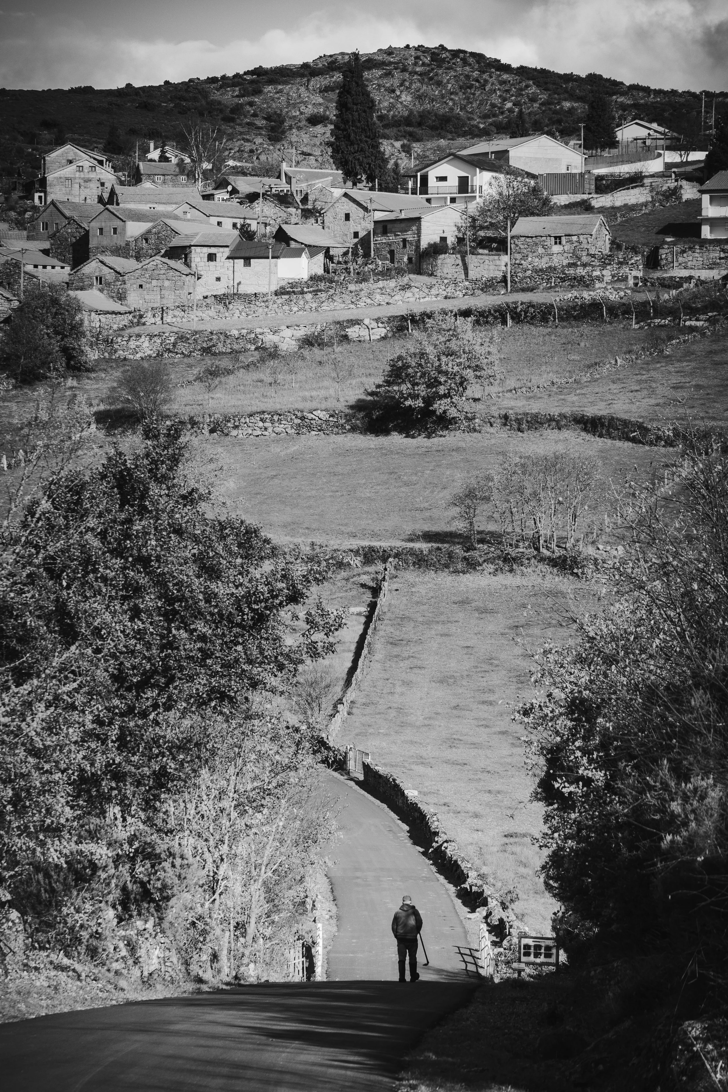 V_DSCF7681_Print File copiar.jpg