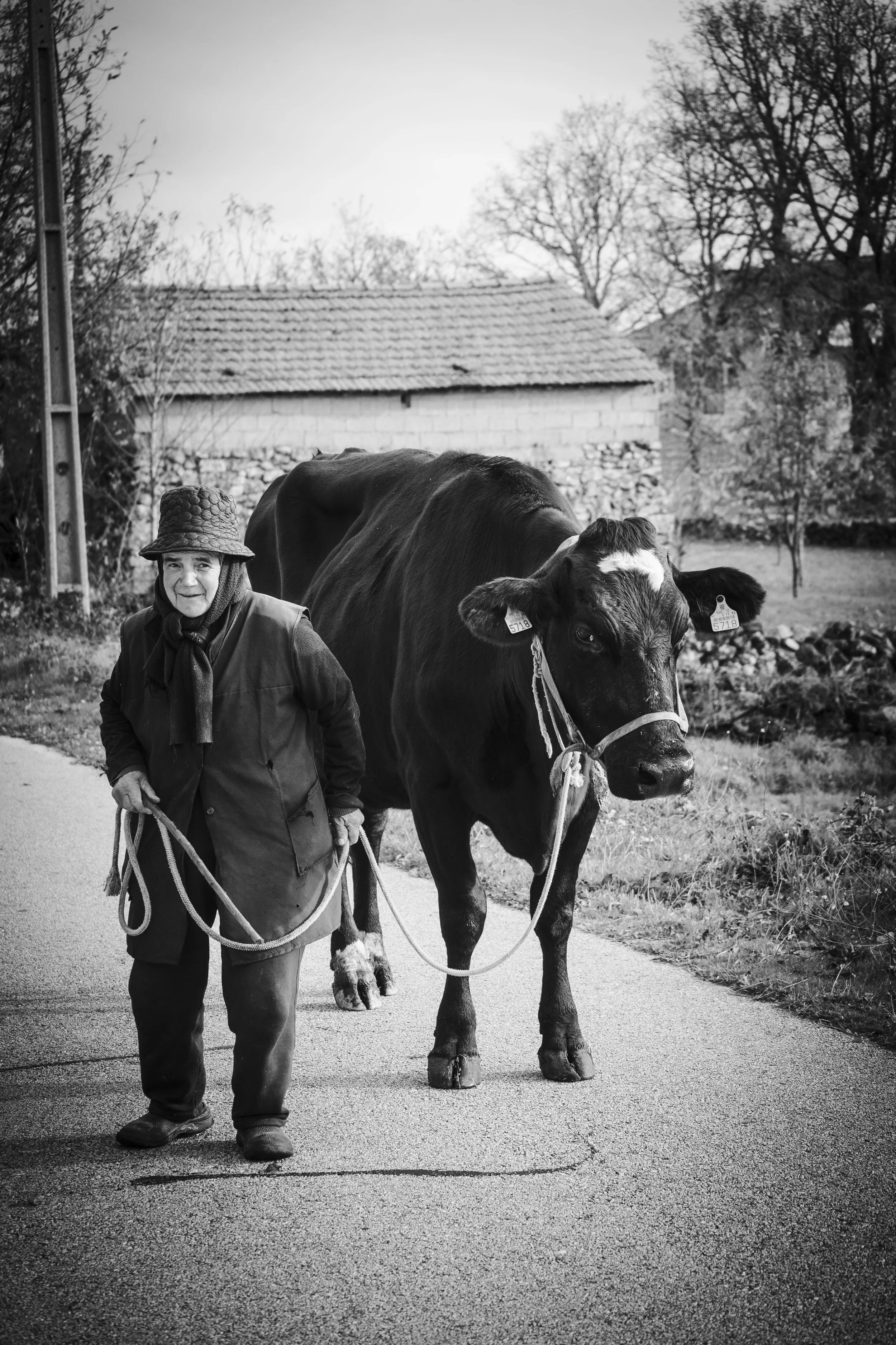 V_Sem título-2415_Print File copiar.jpg