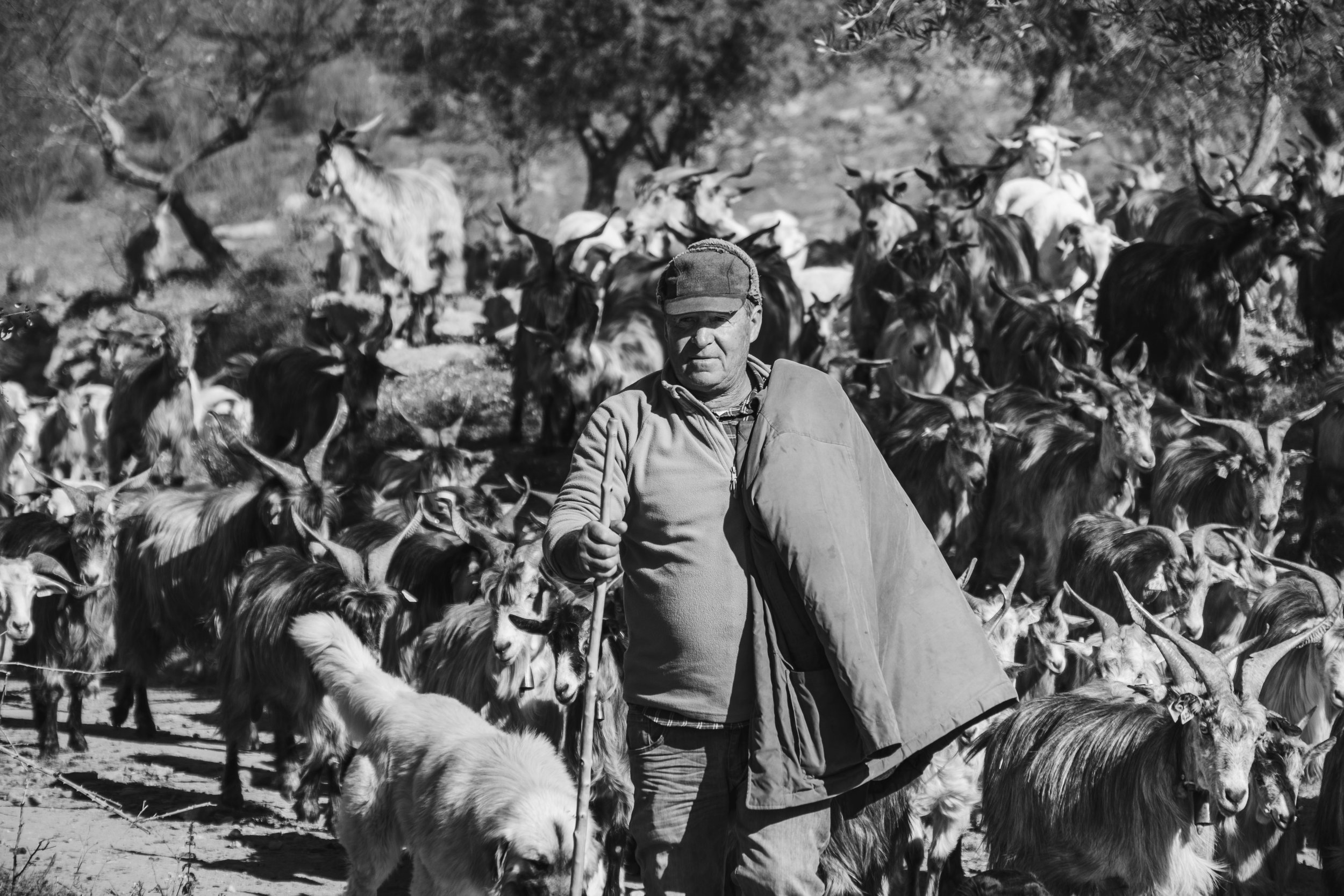 H_DSCF1121_Print File copiar.jpg