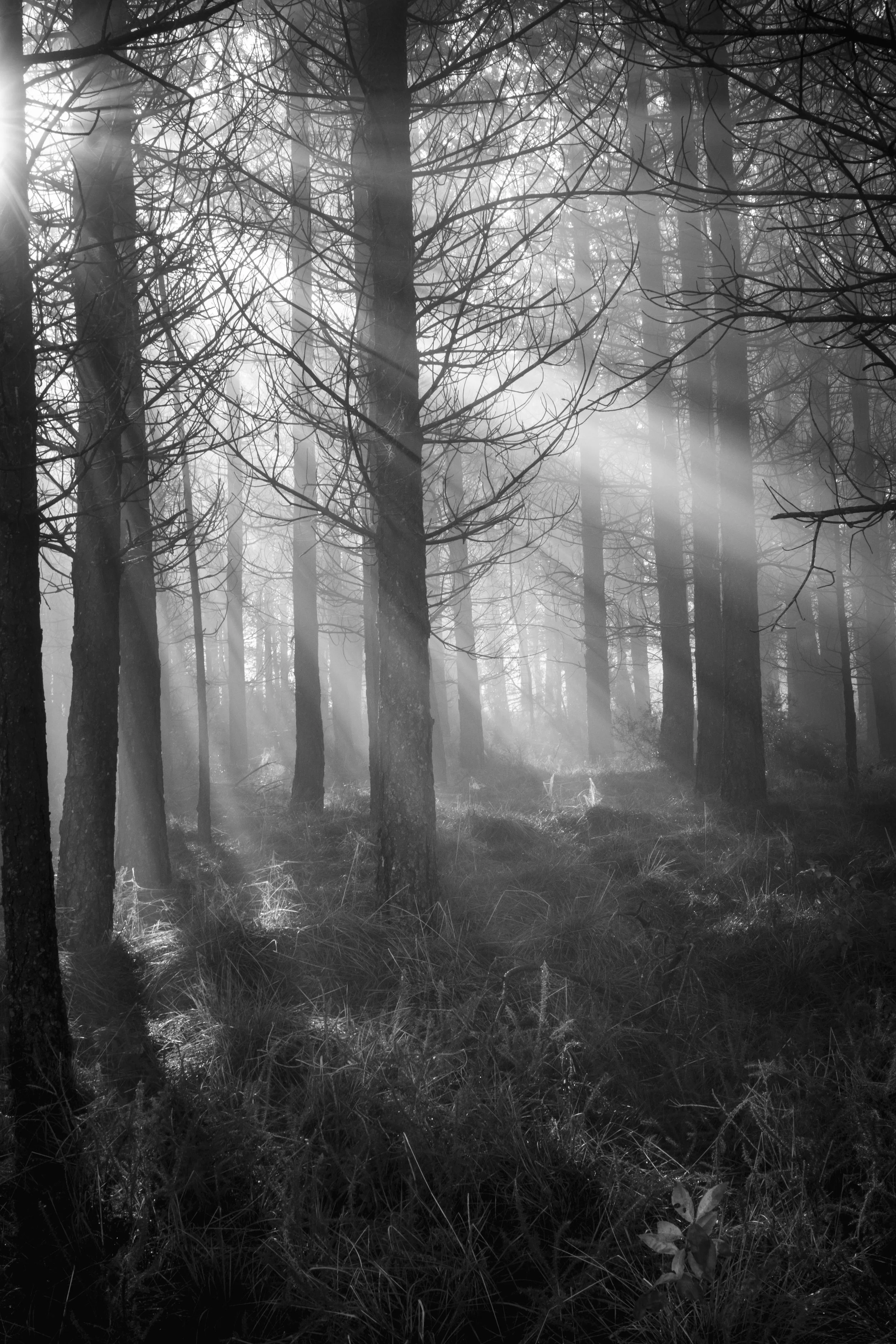 V_Sem título-2413_Print File copiar.jpg