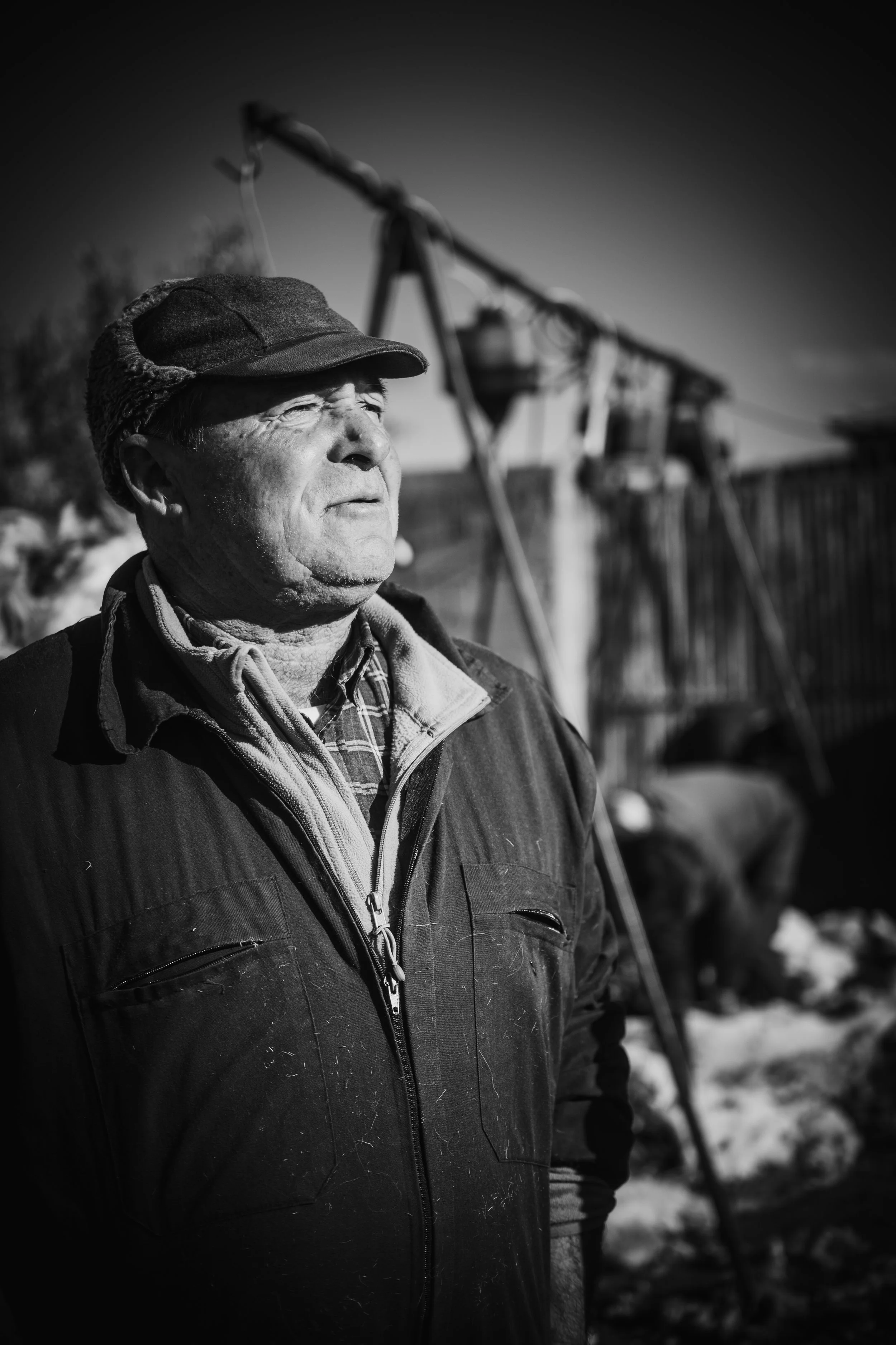 Sem título-2391.jpg