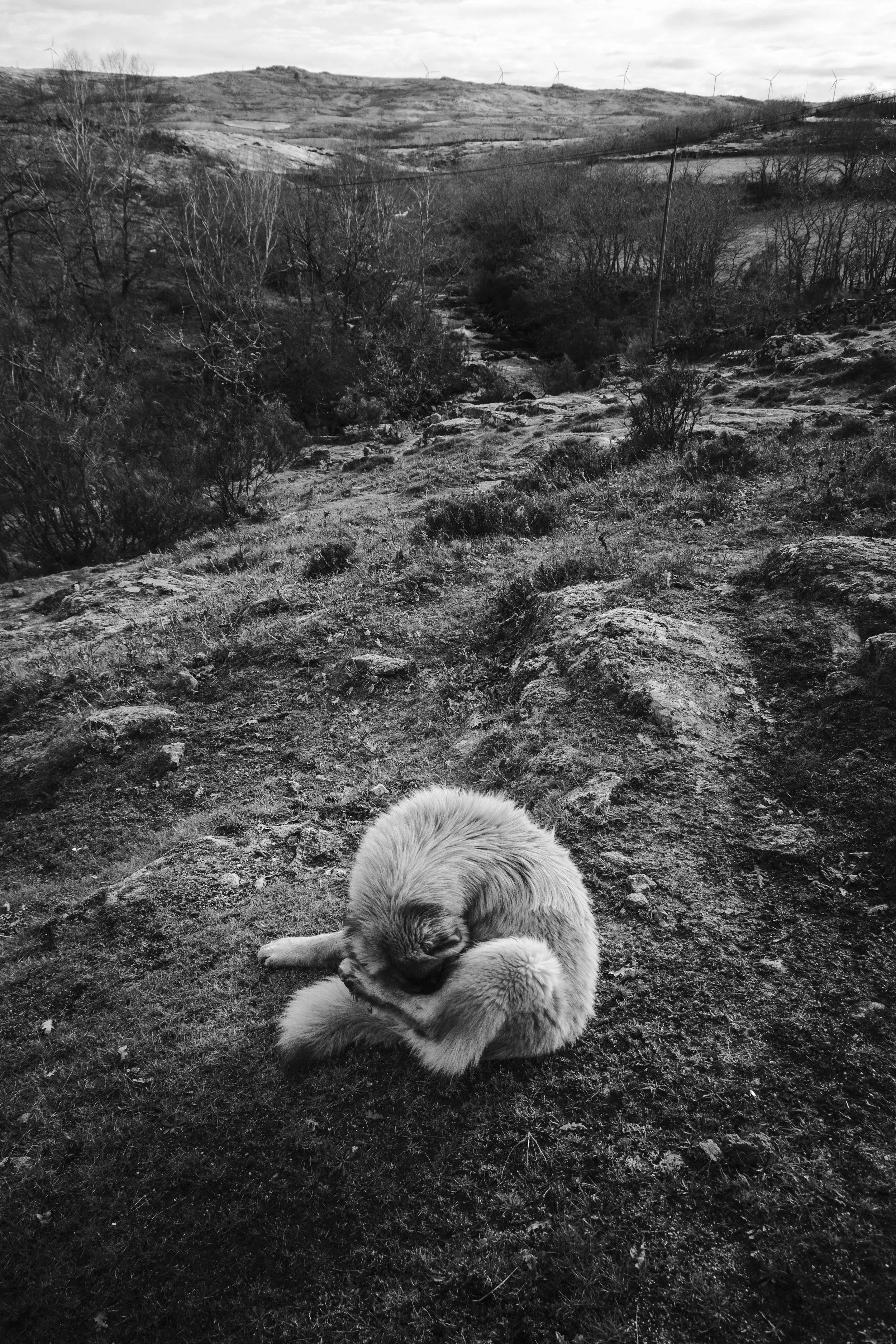 V_Sem título-2405_Print File copiar.jpg