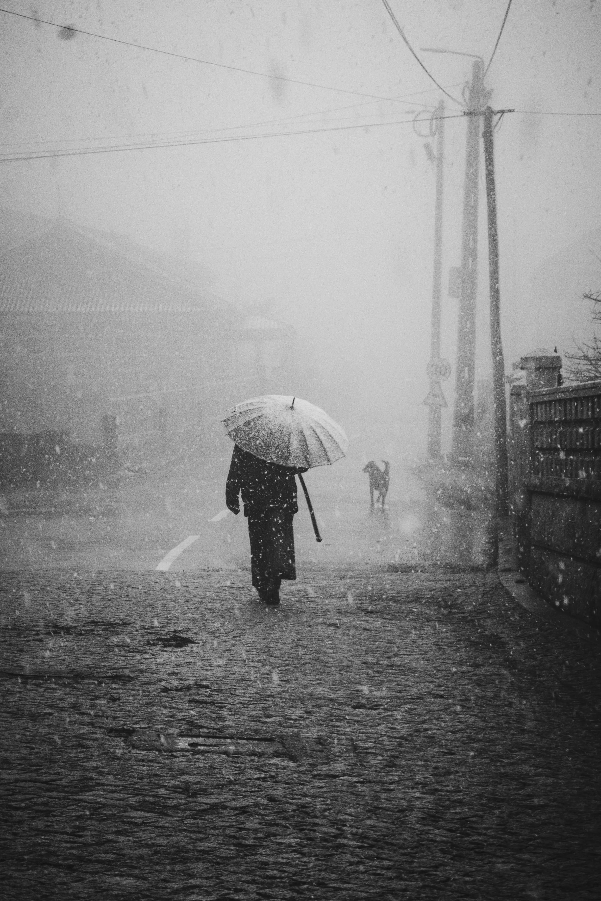 V_Sem título-2418_Print File copiar.jpg