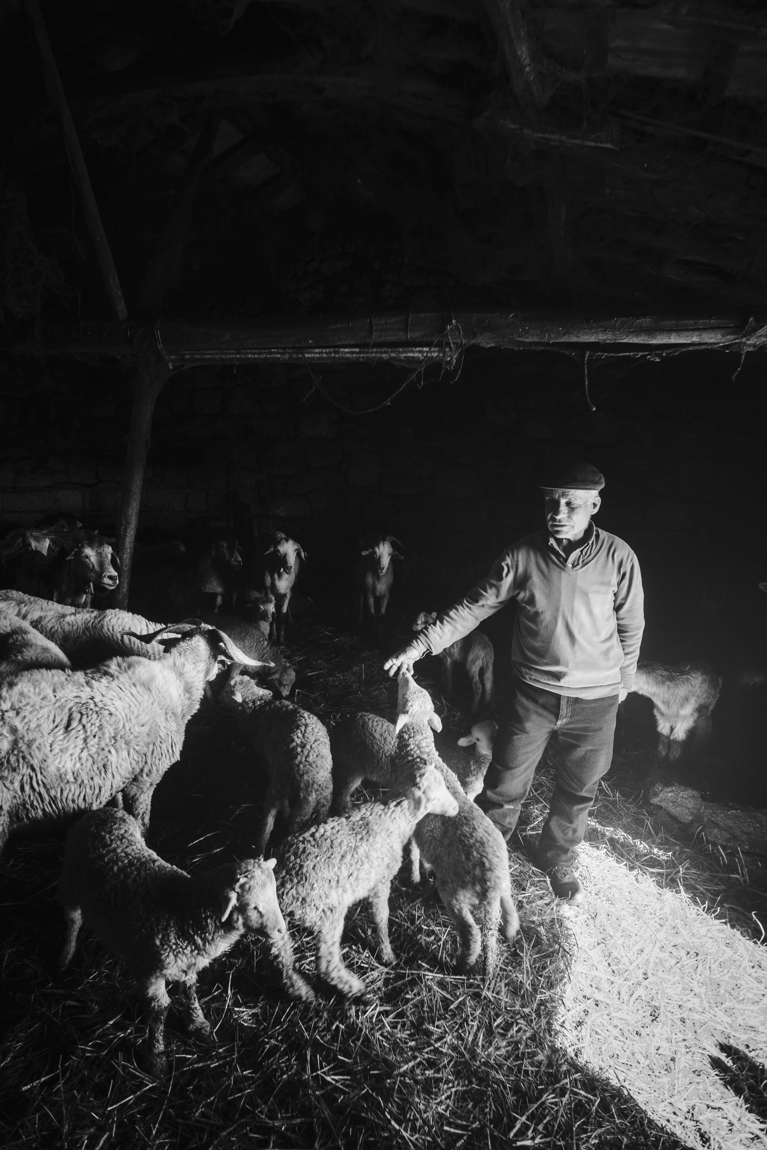 V_Sem título-2423_Print File copiar.jpg