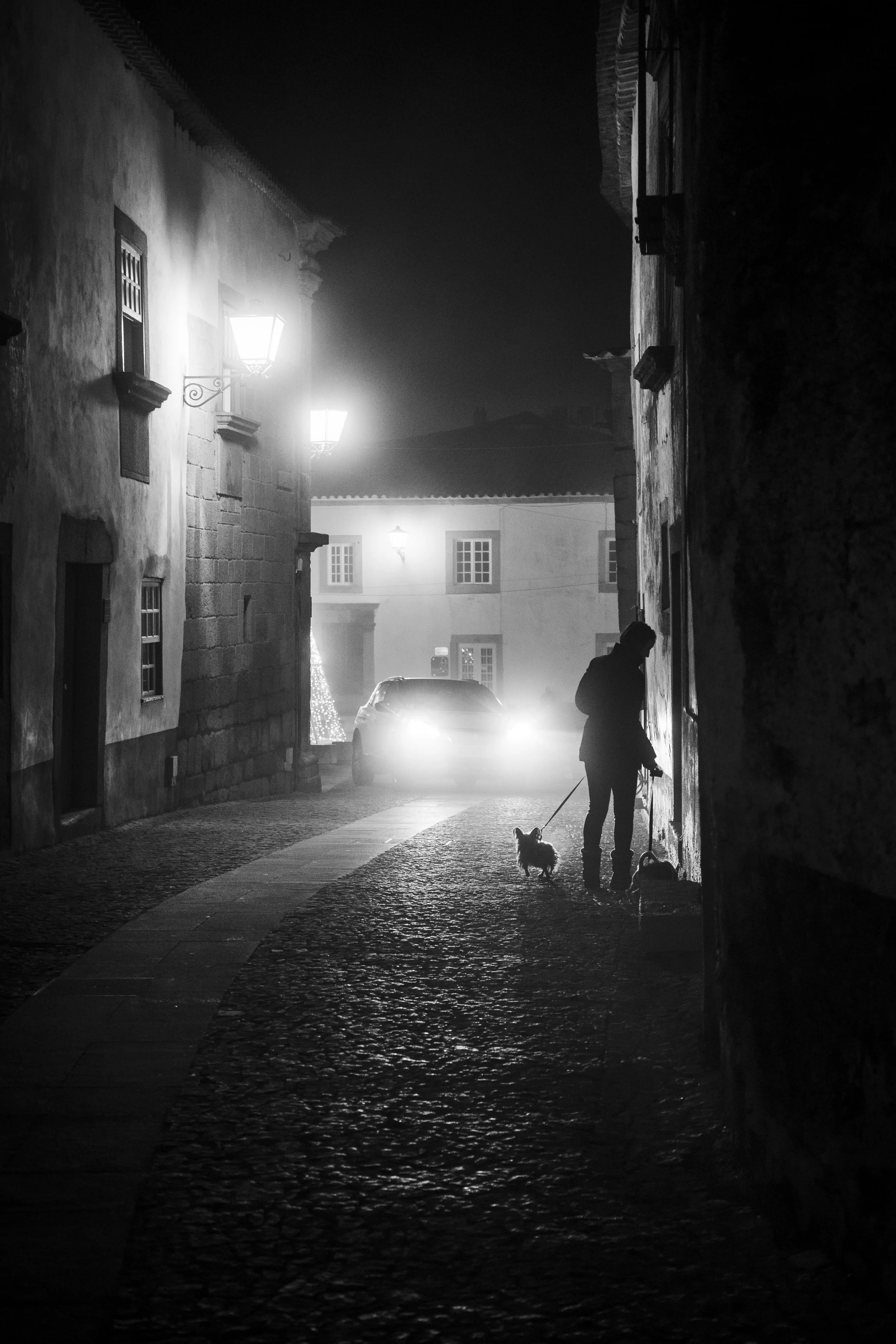 V_Sem título-2420_Print File copiar.jpg