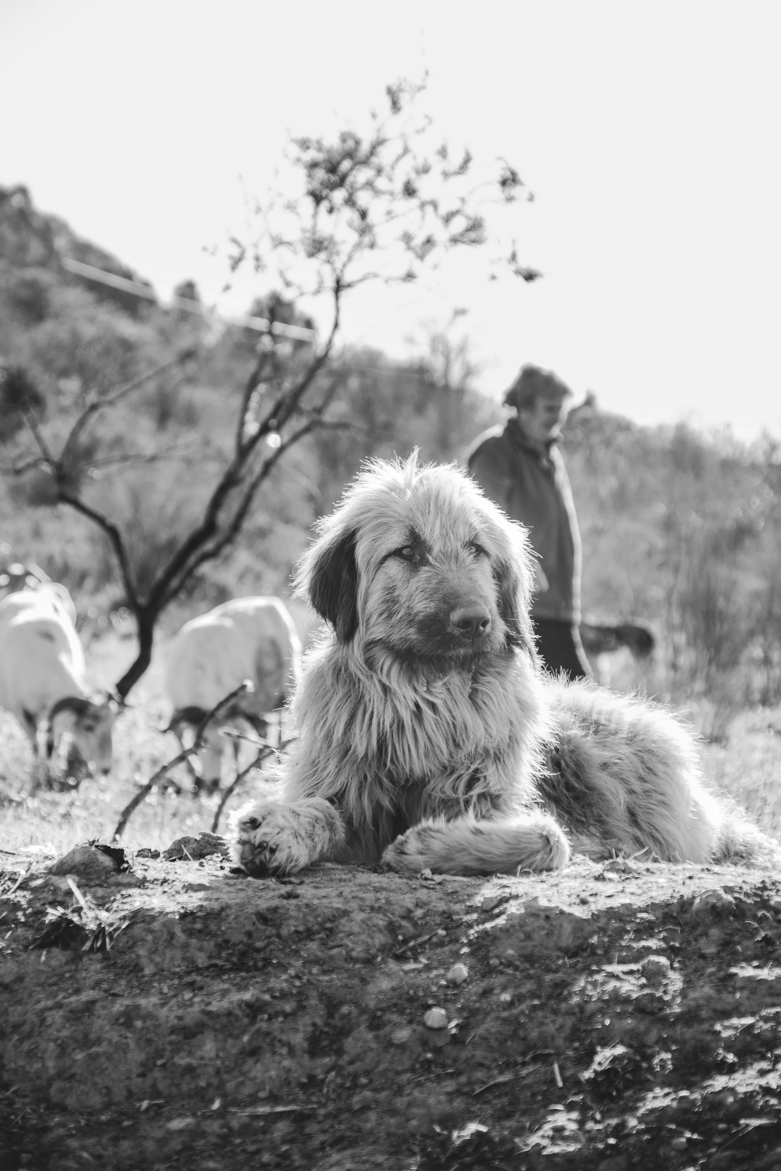 V_DSCF0826_Print File copiar.jpg