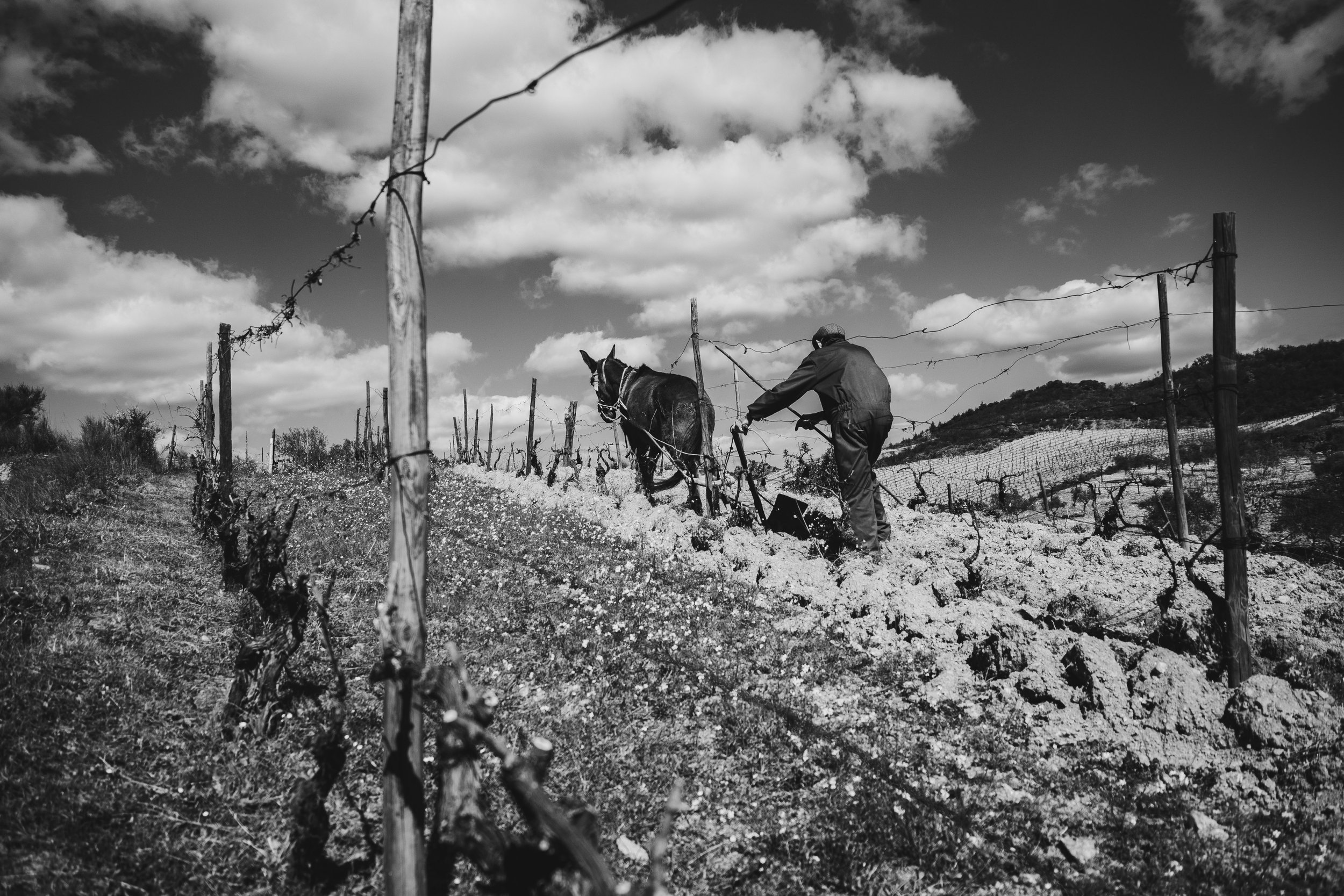 H_DSCF9893_Print File copiar.jpg