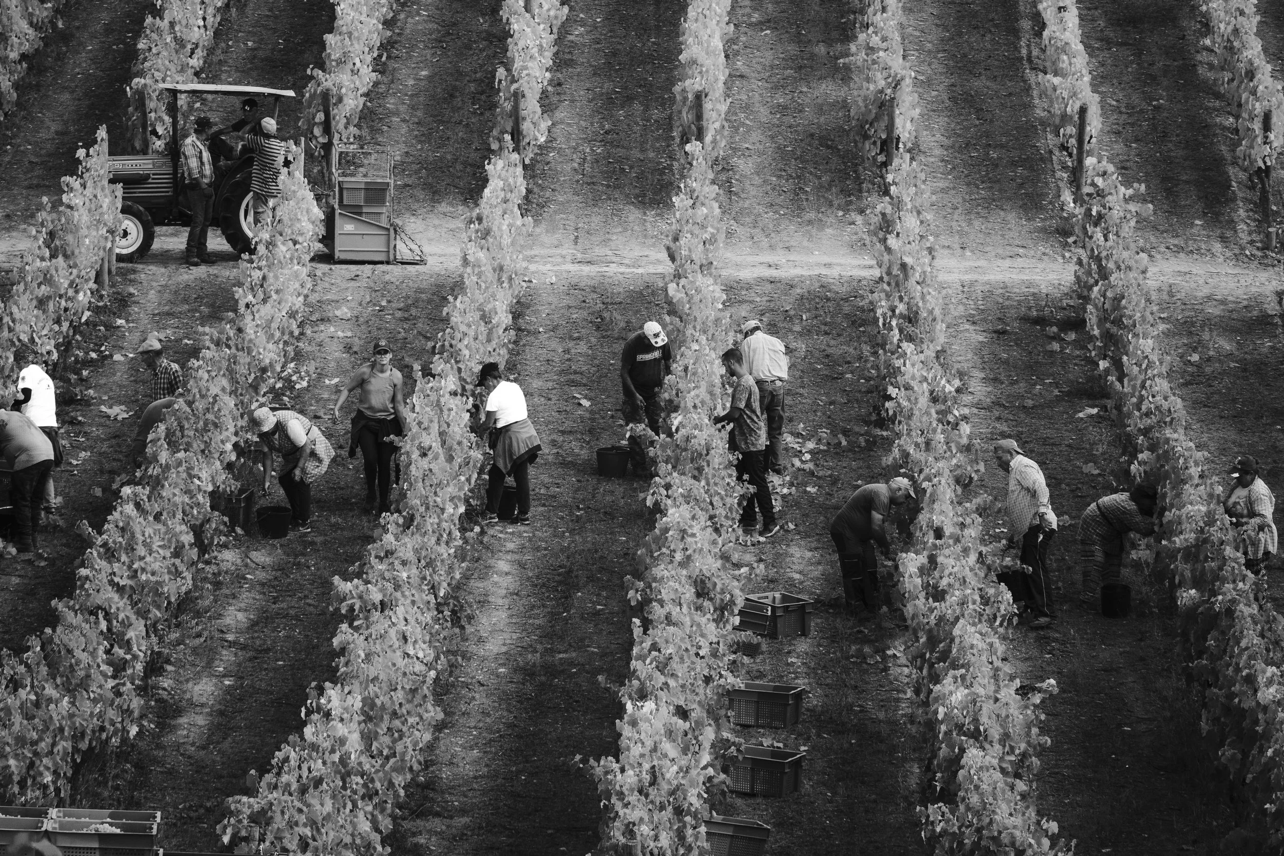 H_Sem título-2411_Print File copiar.jpg