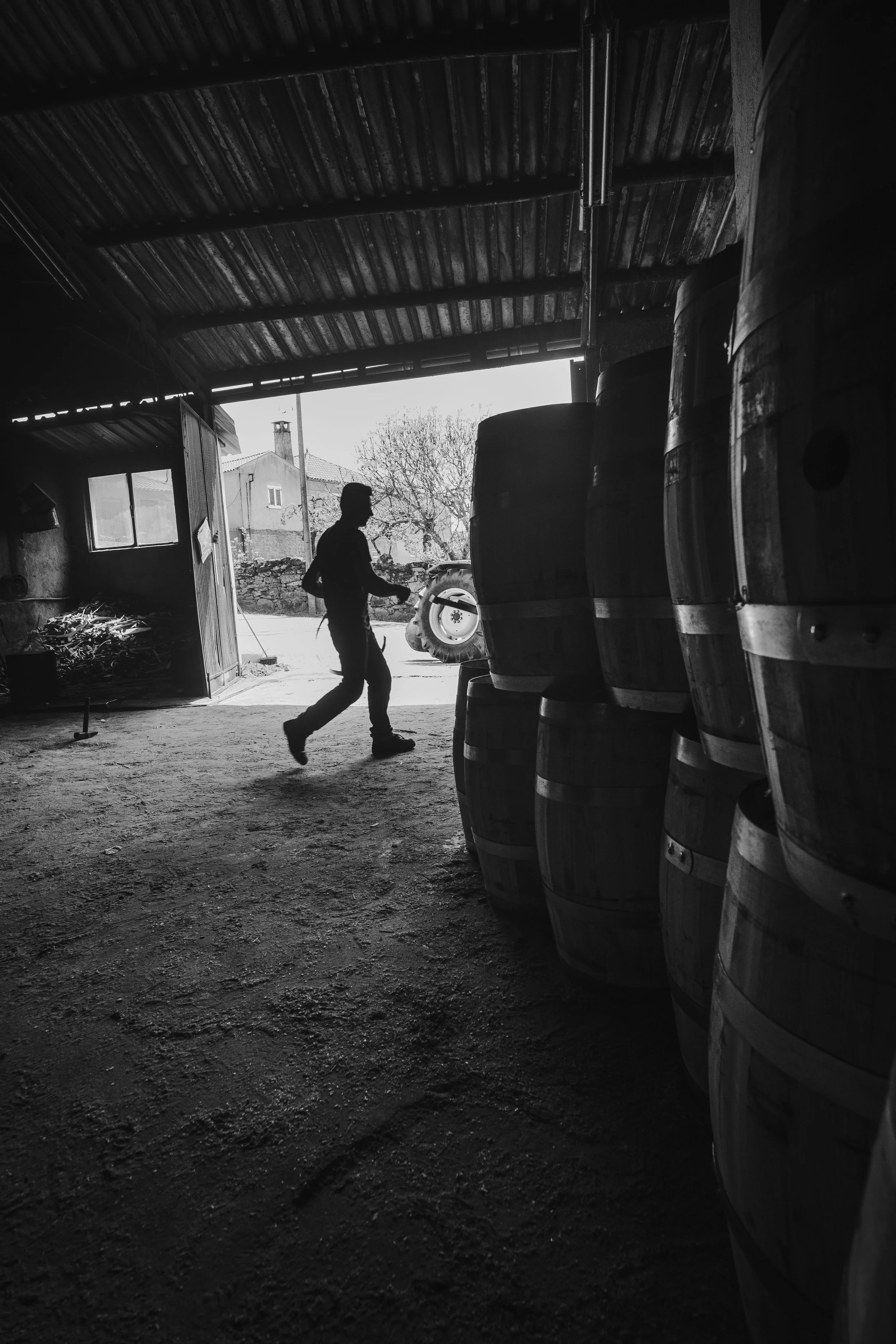 V_DSCF4871 (2)-2_Print File copiar.jpg