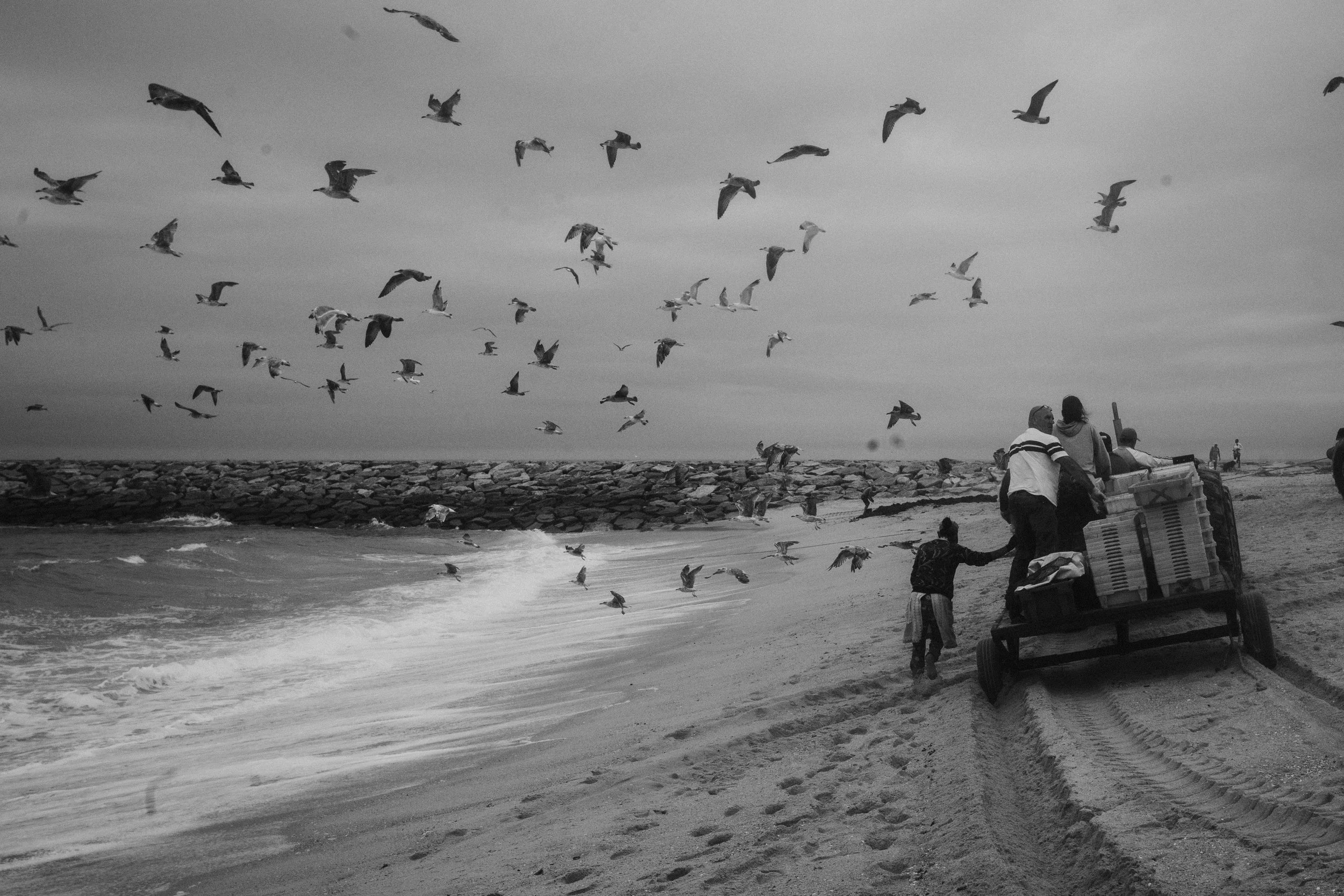 “I return to land with my eyes gazing the horizon”