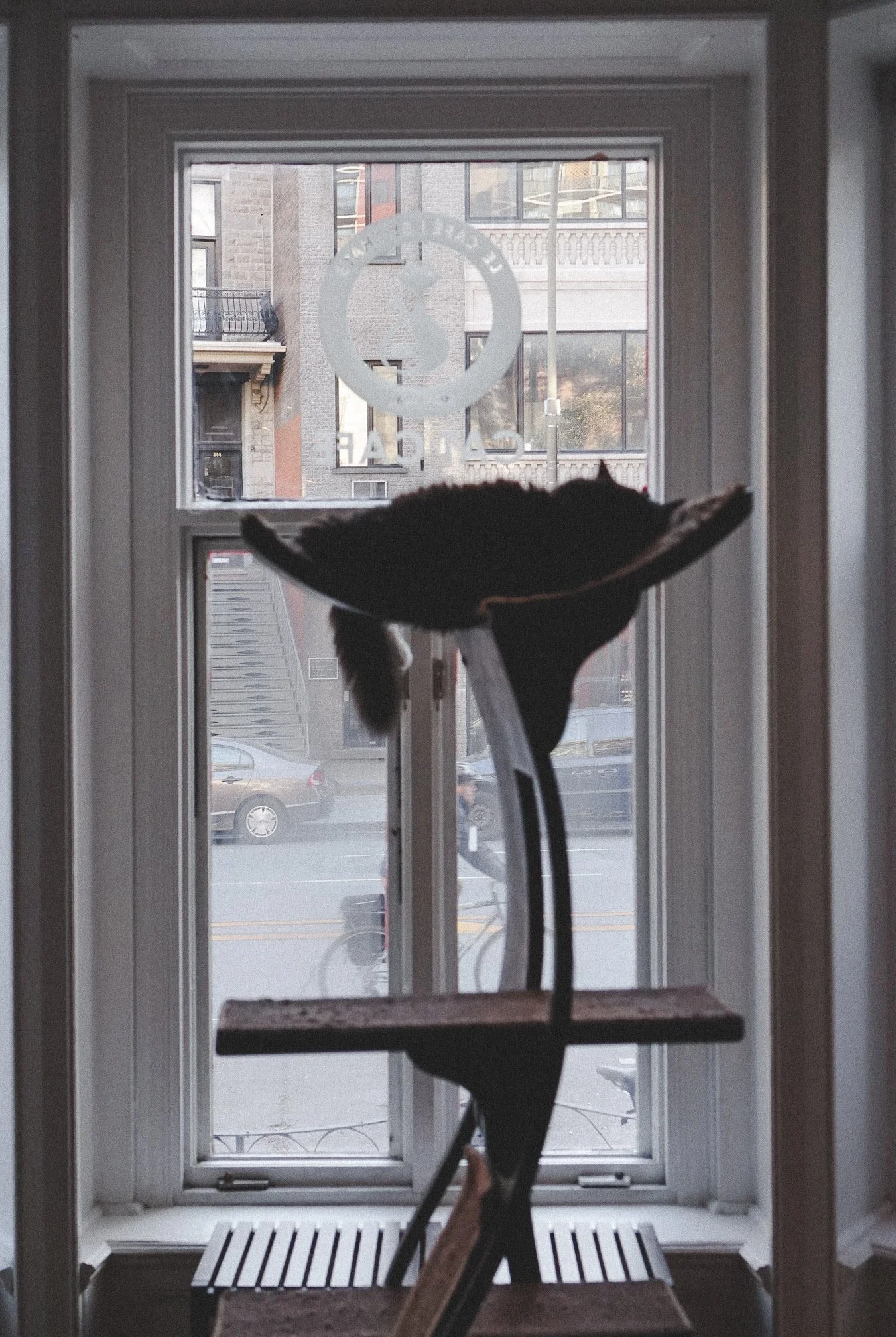 catcafe-motreal-canada4.jpg