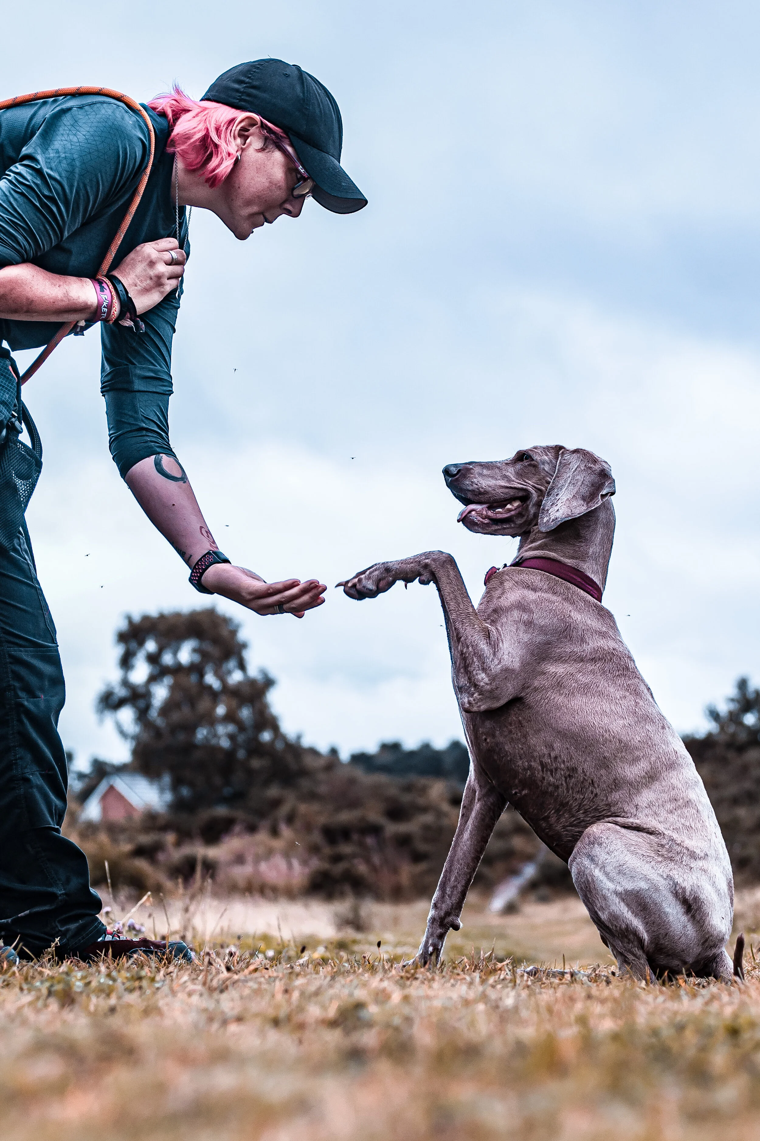 Services 2 — Mooches & More