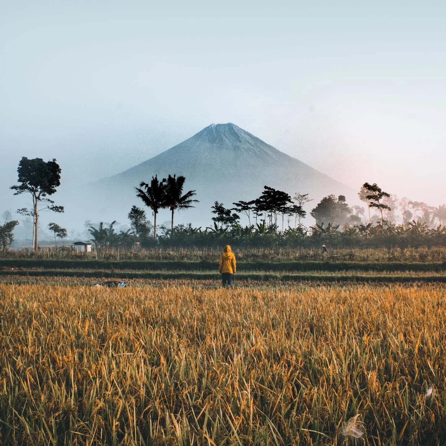 NEW!! Indonesian translation available now. 🌿