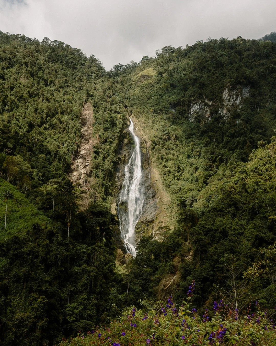 GUESS WHO survived a month of Mexico, Colombia, an intercontinental destination wedding, family time, questionable WiFi&hellip; and no less than five deadlines?

Hi, it&rsquo;s me. I live.

I haven&rsquo;t posted in a while and apparently that was co