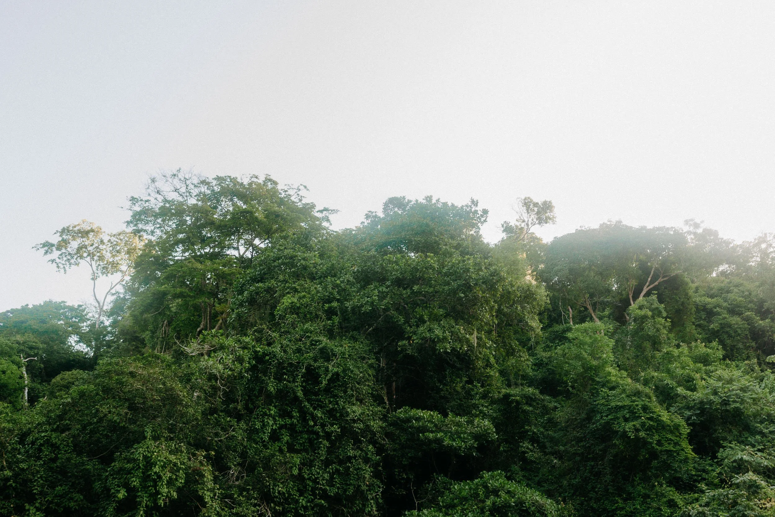 colombia-rivier-shoot-niyi-36.jpg