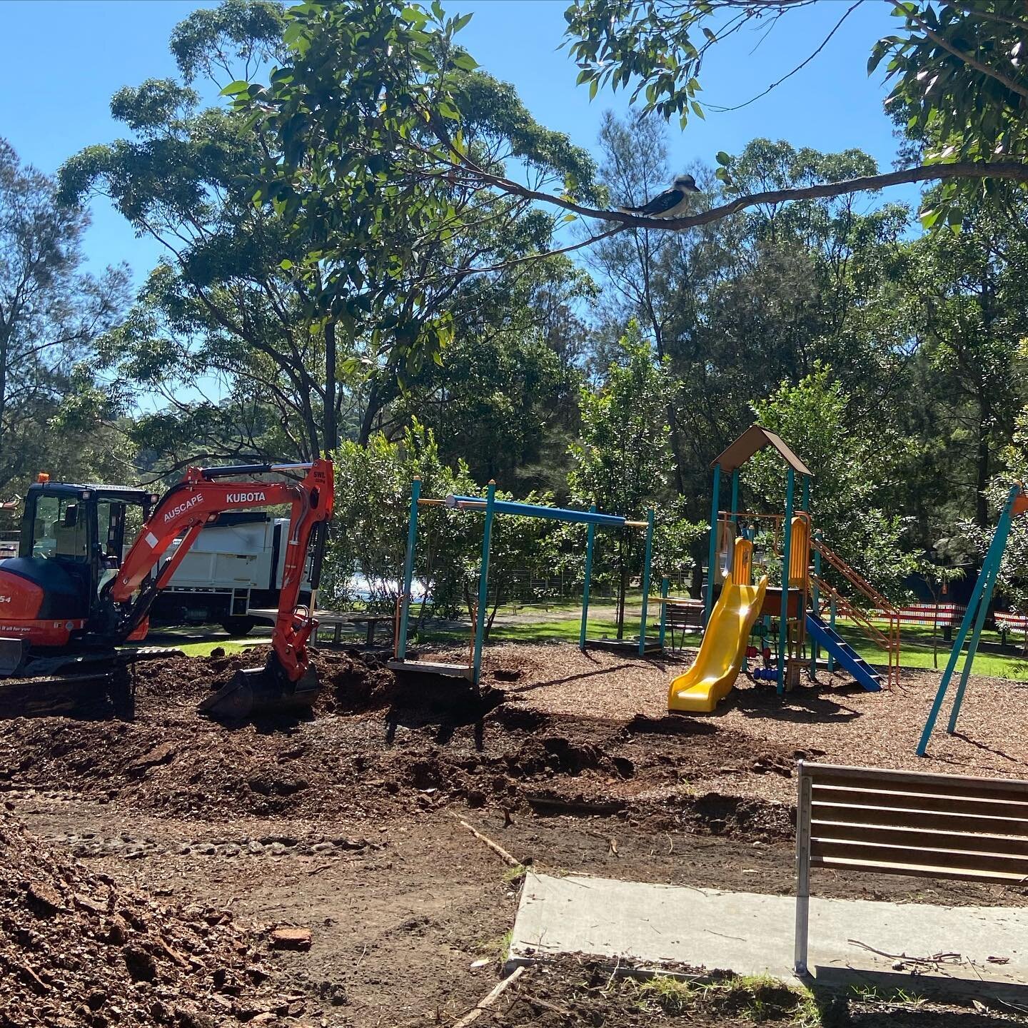 🎶 My Kubota brings all the birds to the yard... 🎶 
Especially the Kookaburras! Always love being on site with an excavator - the Kookaburras are not shy and they swoop down and get all the worms!! 🪱 #ballsybird 
Hard to spot the one on the pile of