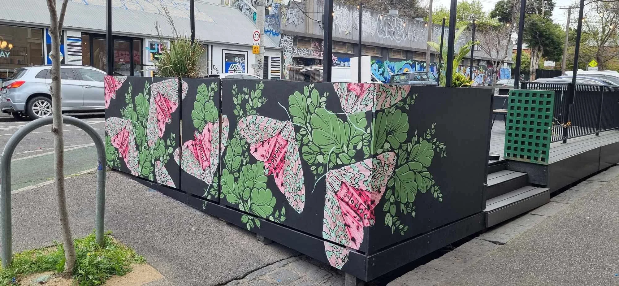 Manda Lane  -N2O - Drawn to the Light .JPG