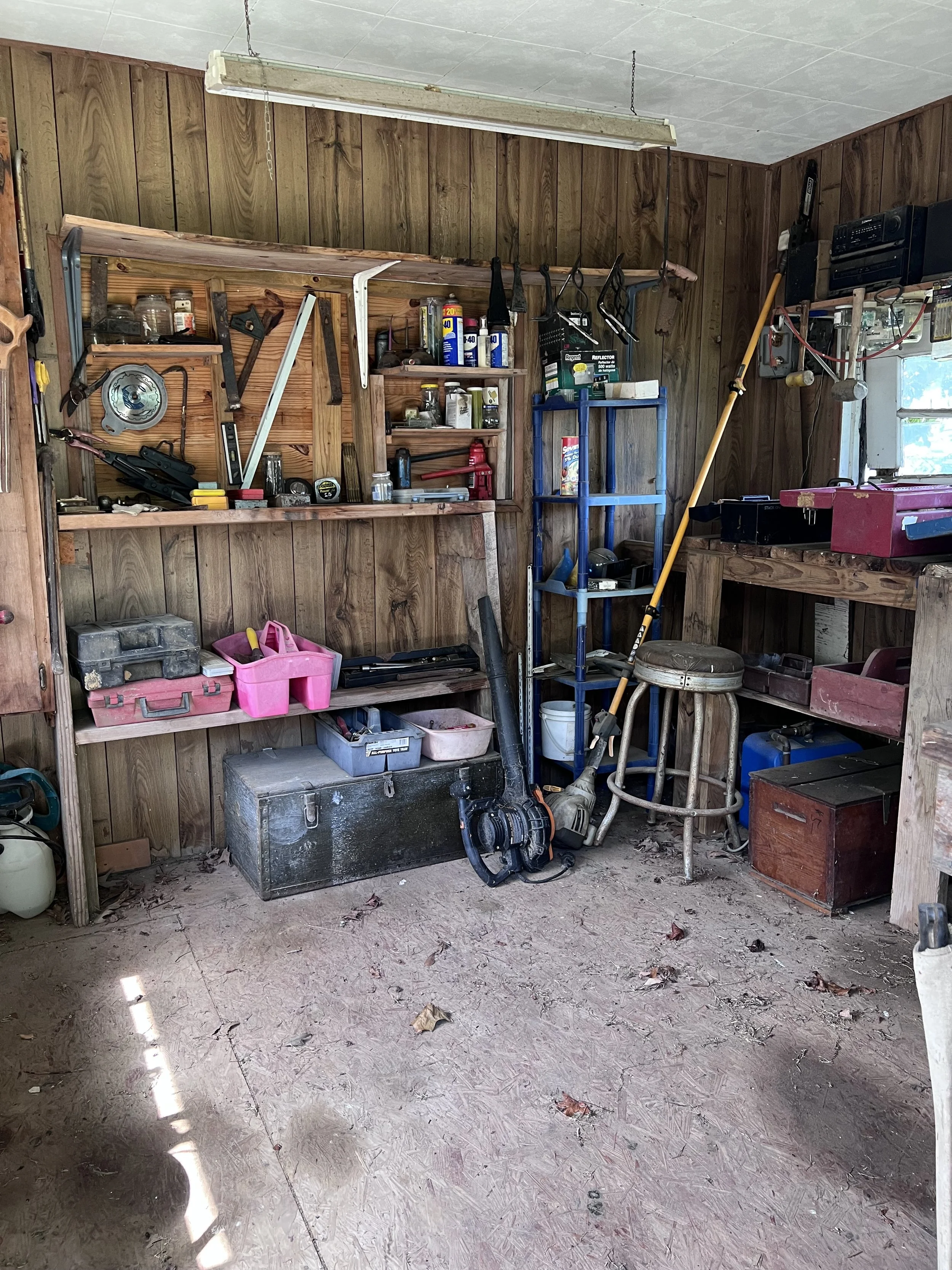 Photo Jul 21 2025, 10 48 21 AM.jpg