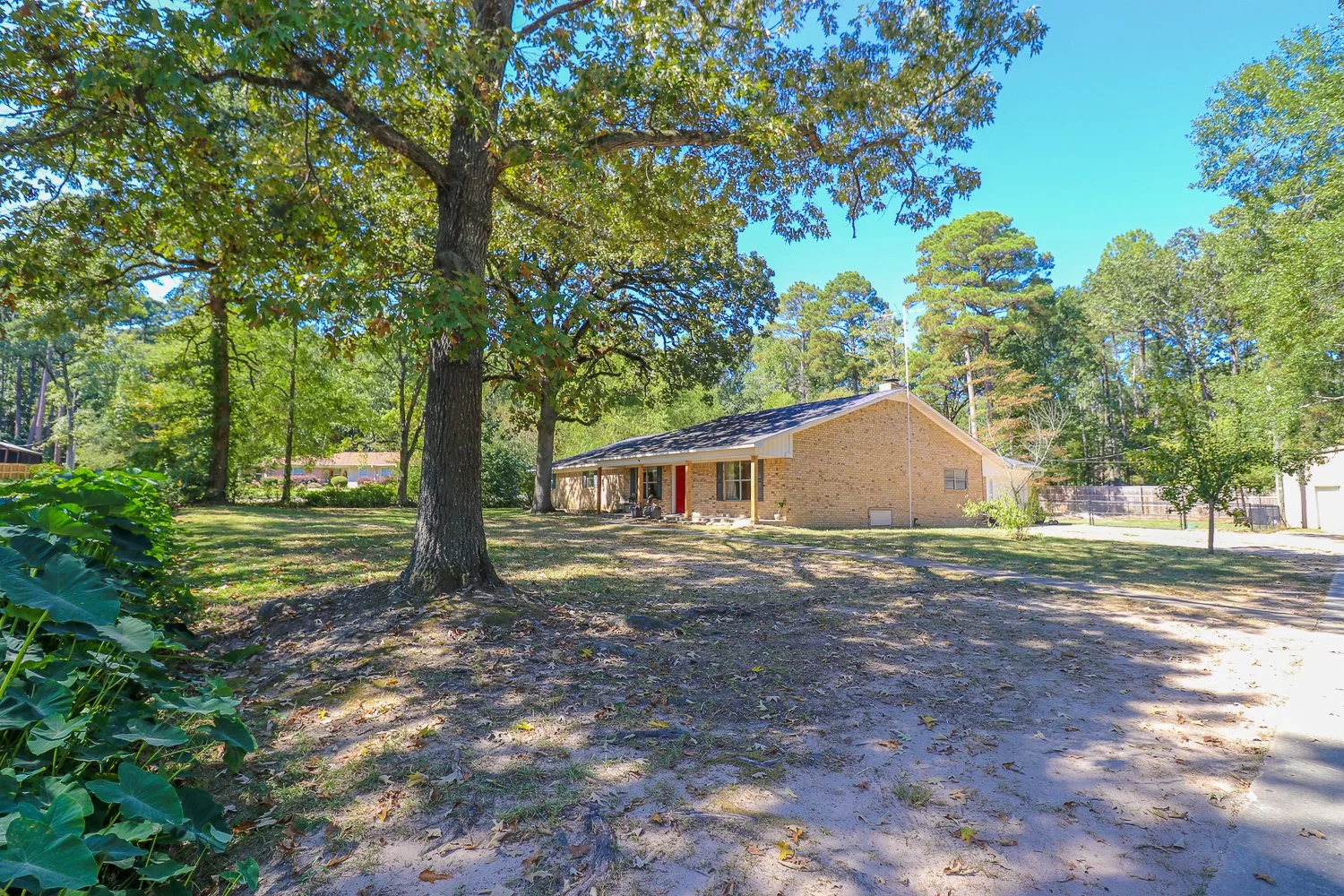 395 Delmora- IMG_4578.jpg