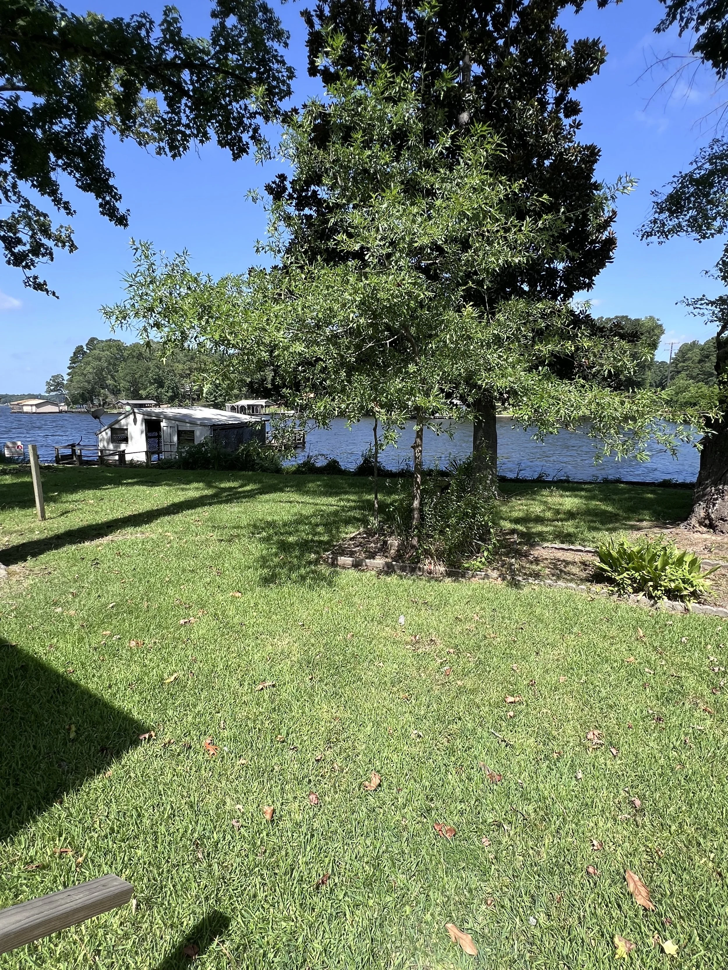 Photo Jul 21 2025, 10 50 53 AM.jpg