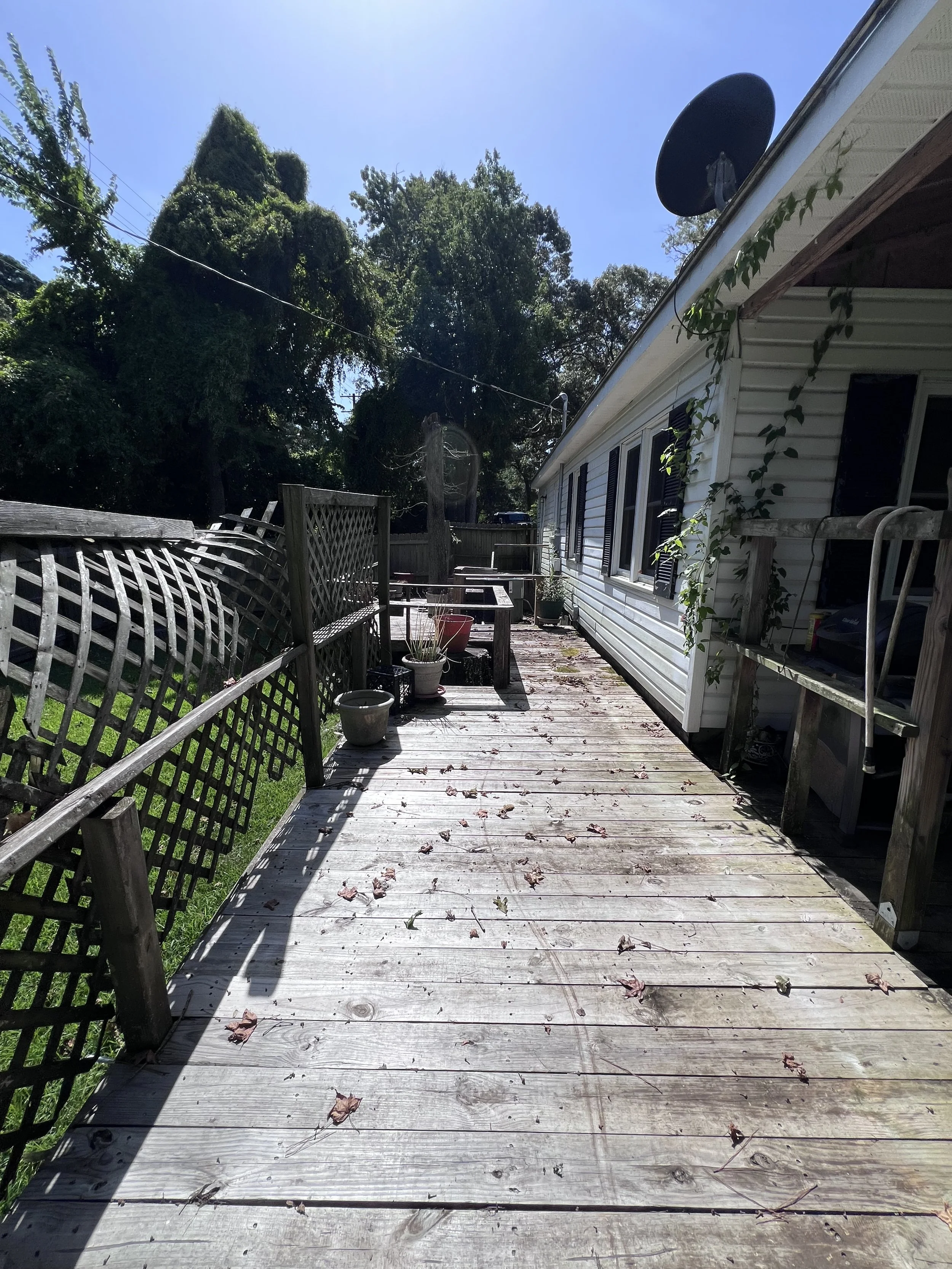 Photo Jul 21 2025, 10 43 01 AM.jpg