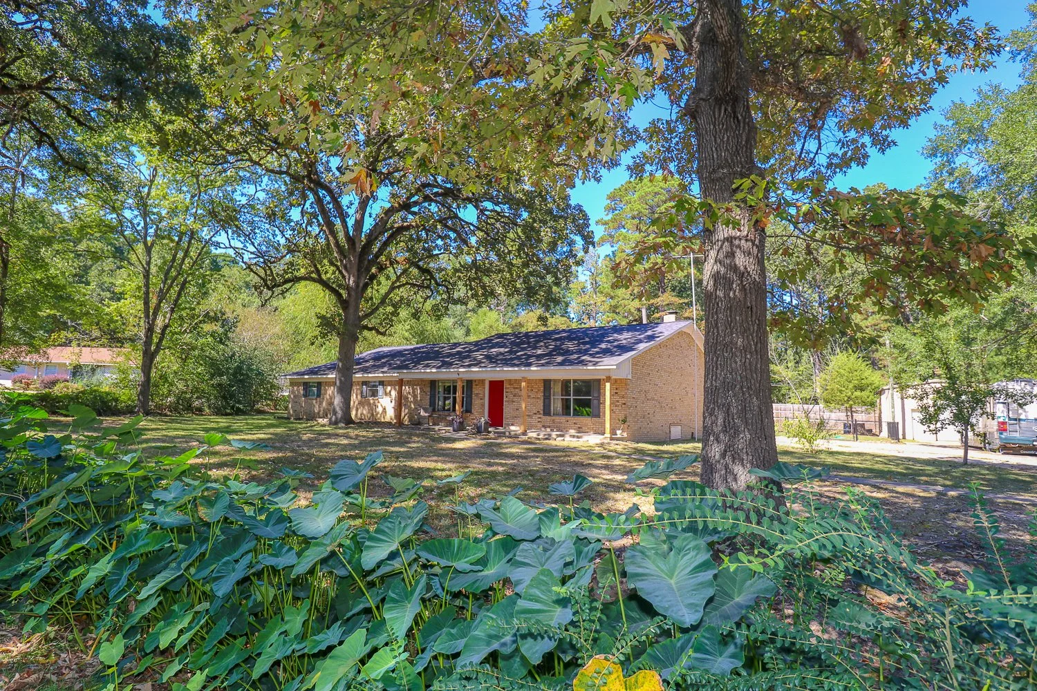 A single-story brick house with a gray shingled roof and a red front door, surrounded by large trees and green foliage on a sunny day.