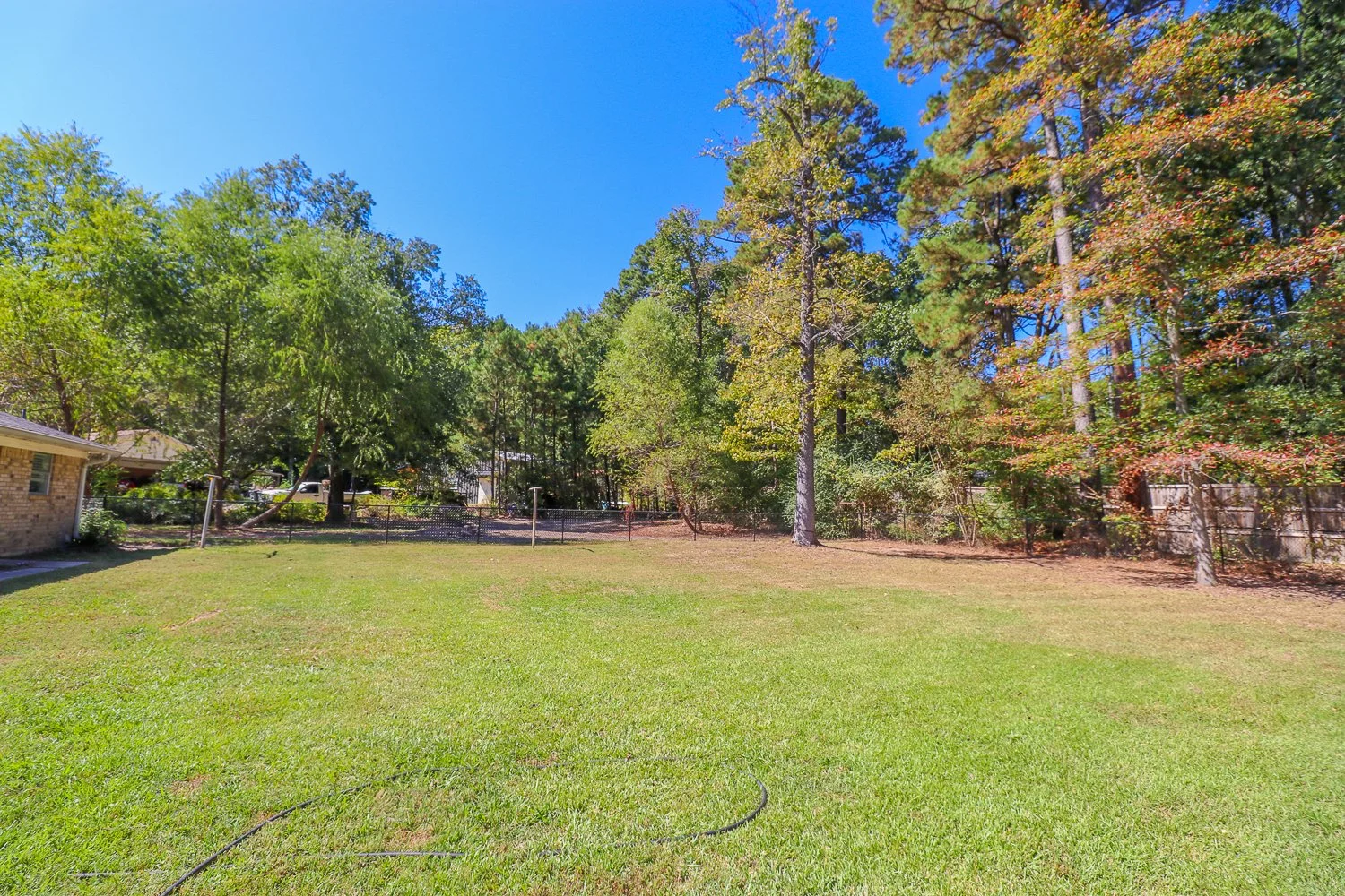 395 Delmora- IMG_4589.jpg