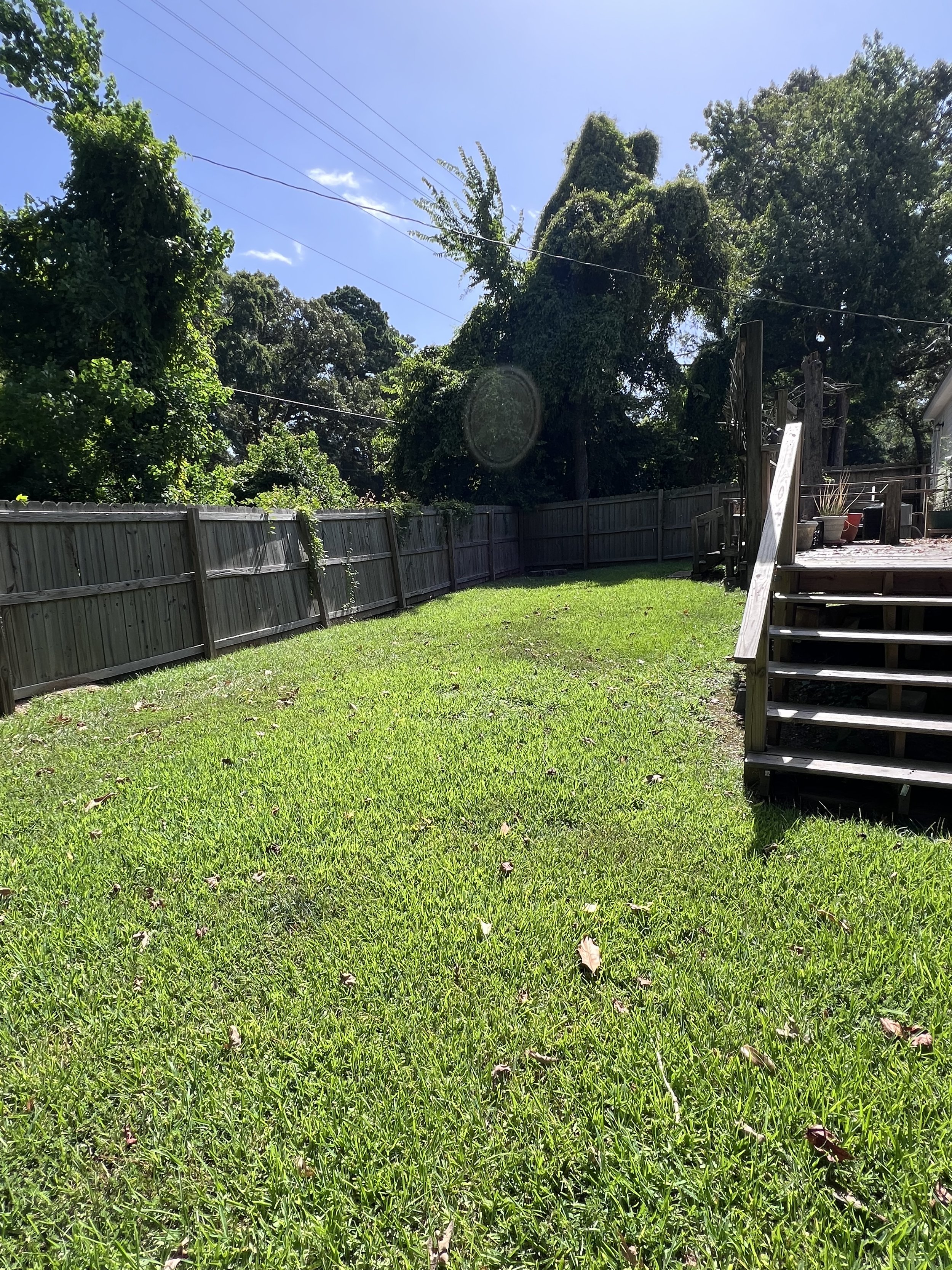 Photo Jul 21 2025, 10 50 31 AM.jpg