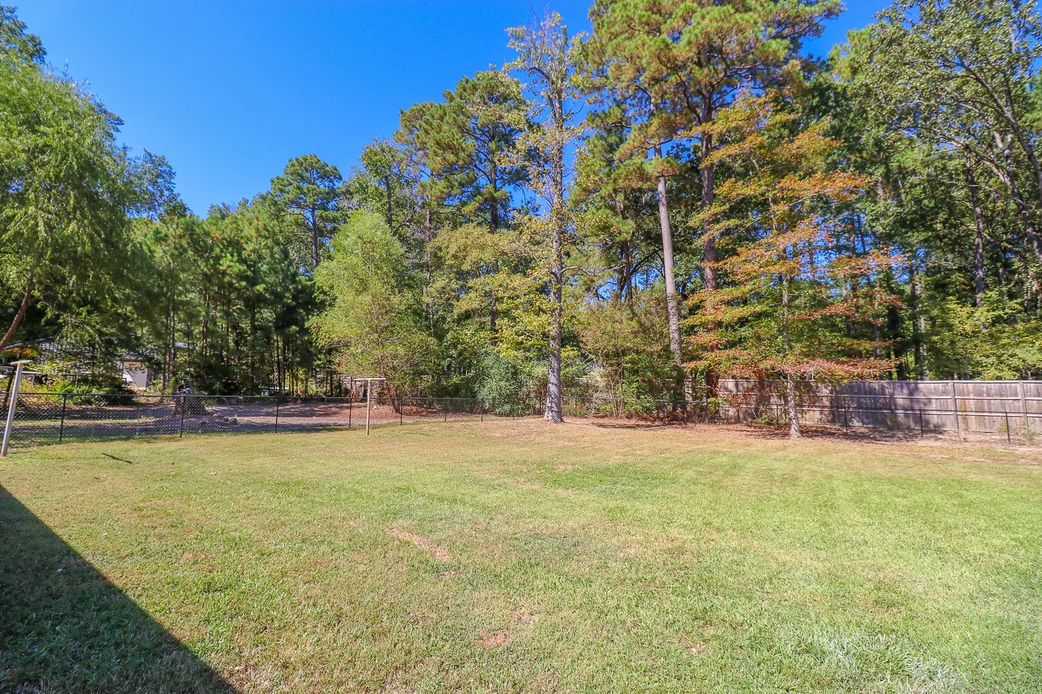 395 Delmora- IMG_4588.jpg