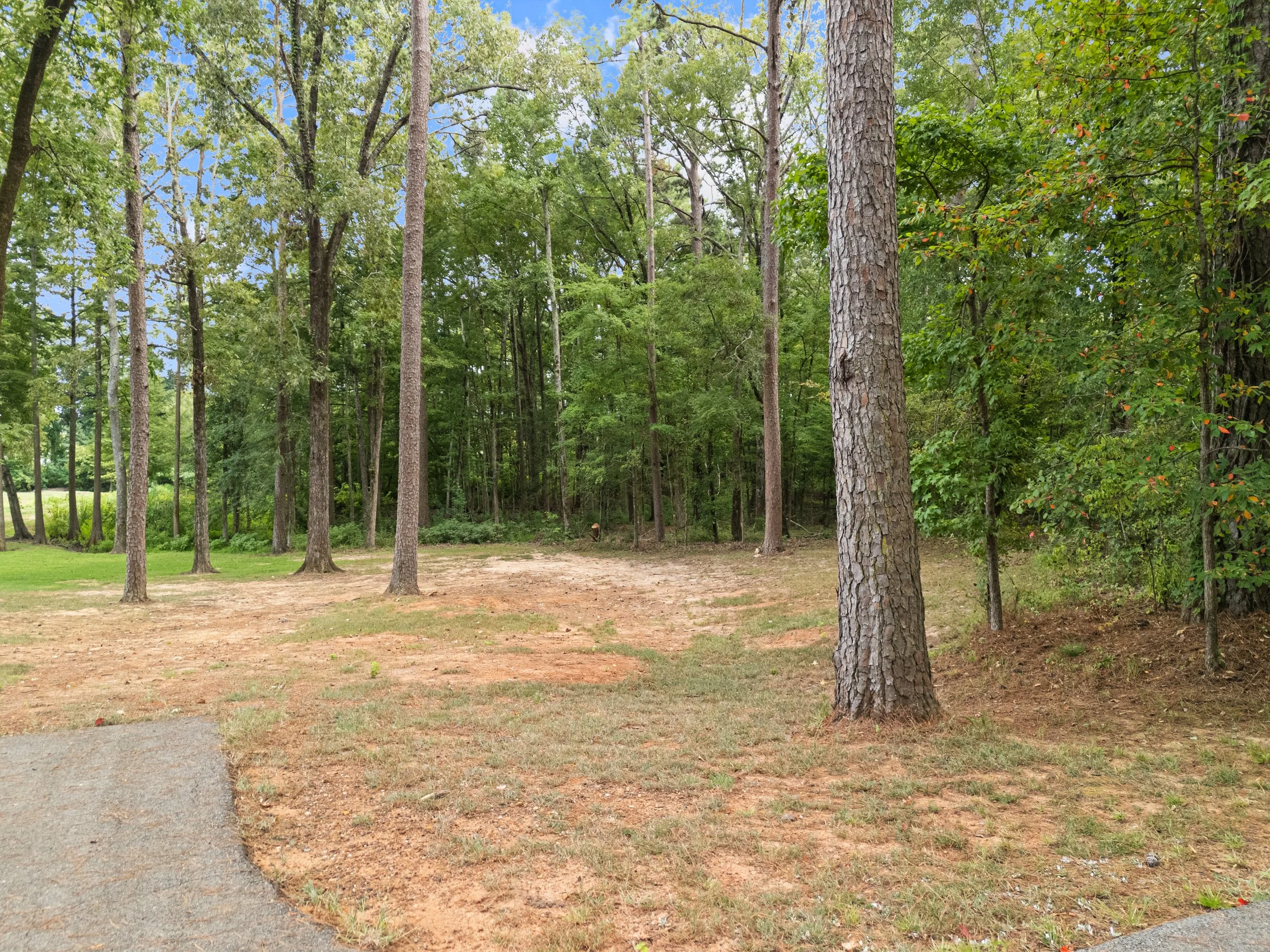 NT 29 and 30 -17.jpg