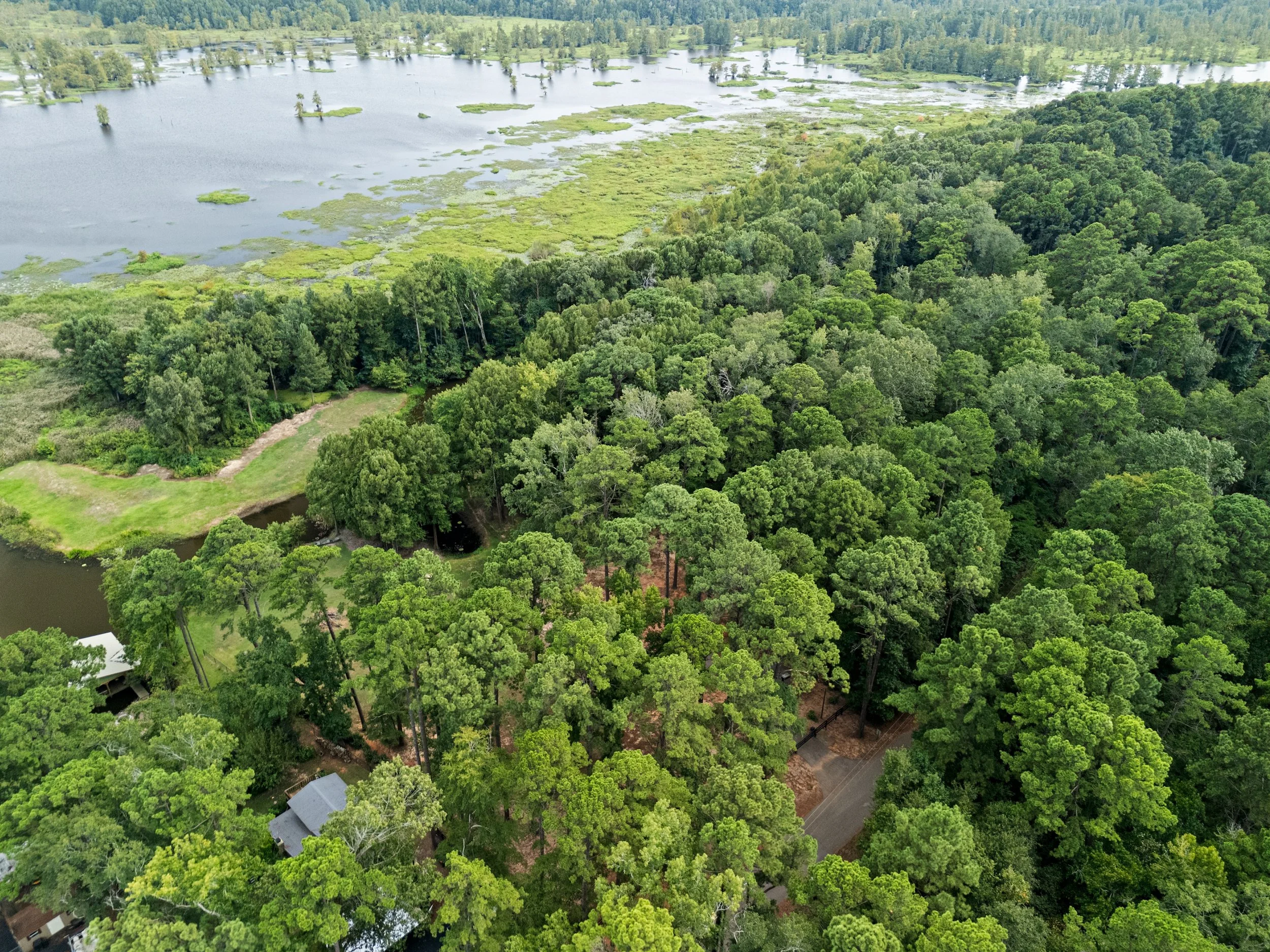 Ariel NT 29 and 30 -12.jpg