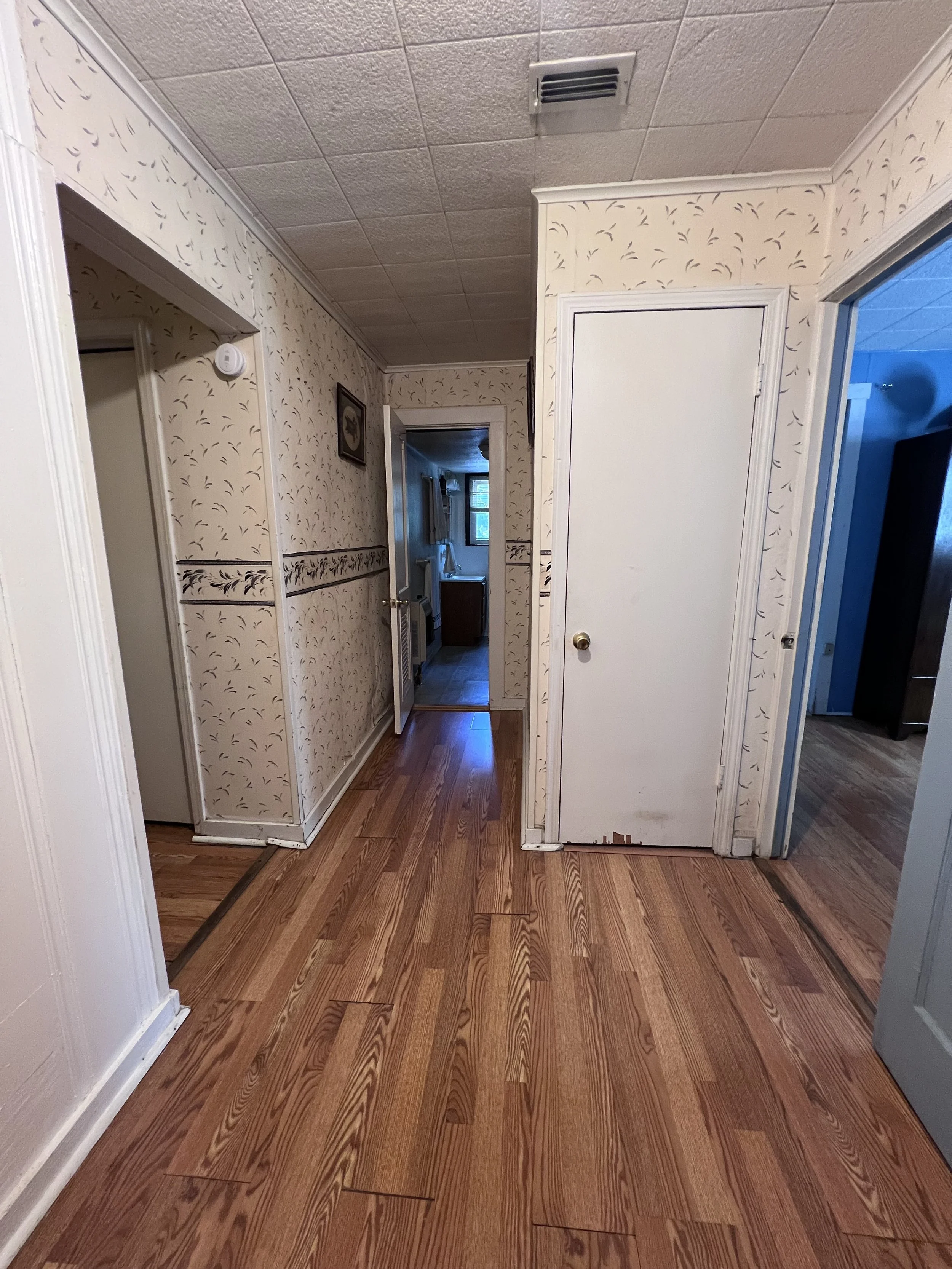 Photo Jul 21 2025, 10 36 53 AM.jpg