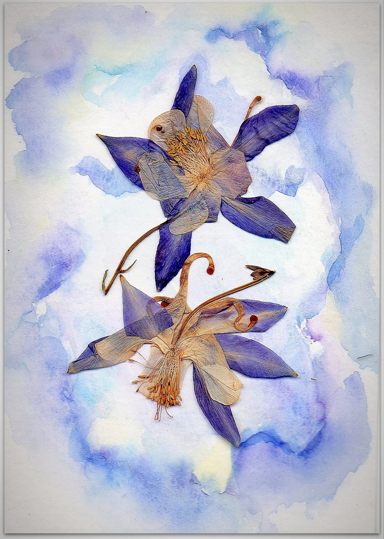 img064.jpg