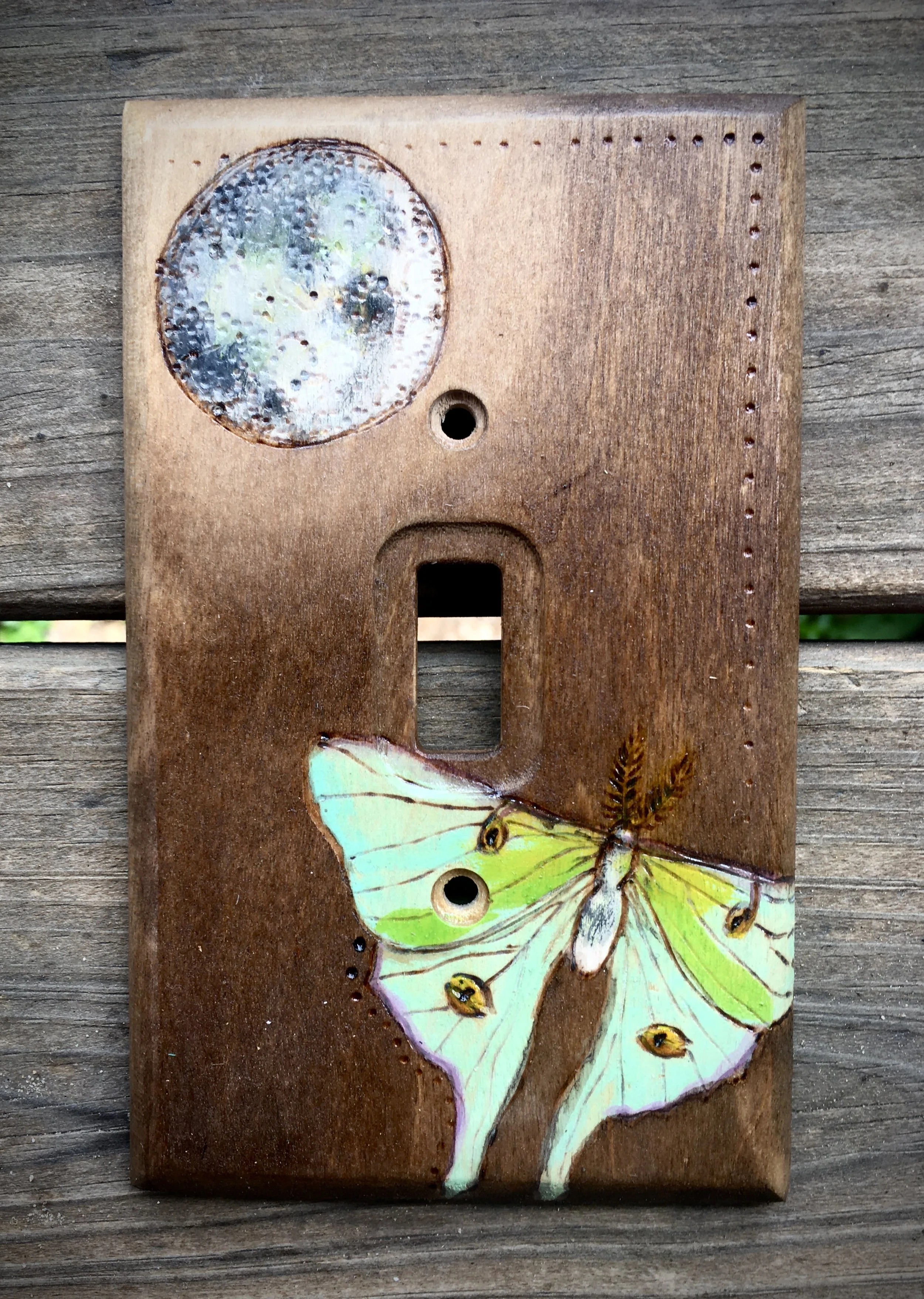 luna moth.JPG