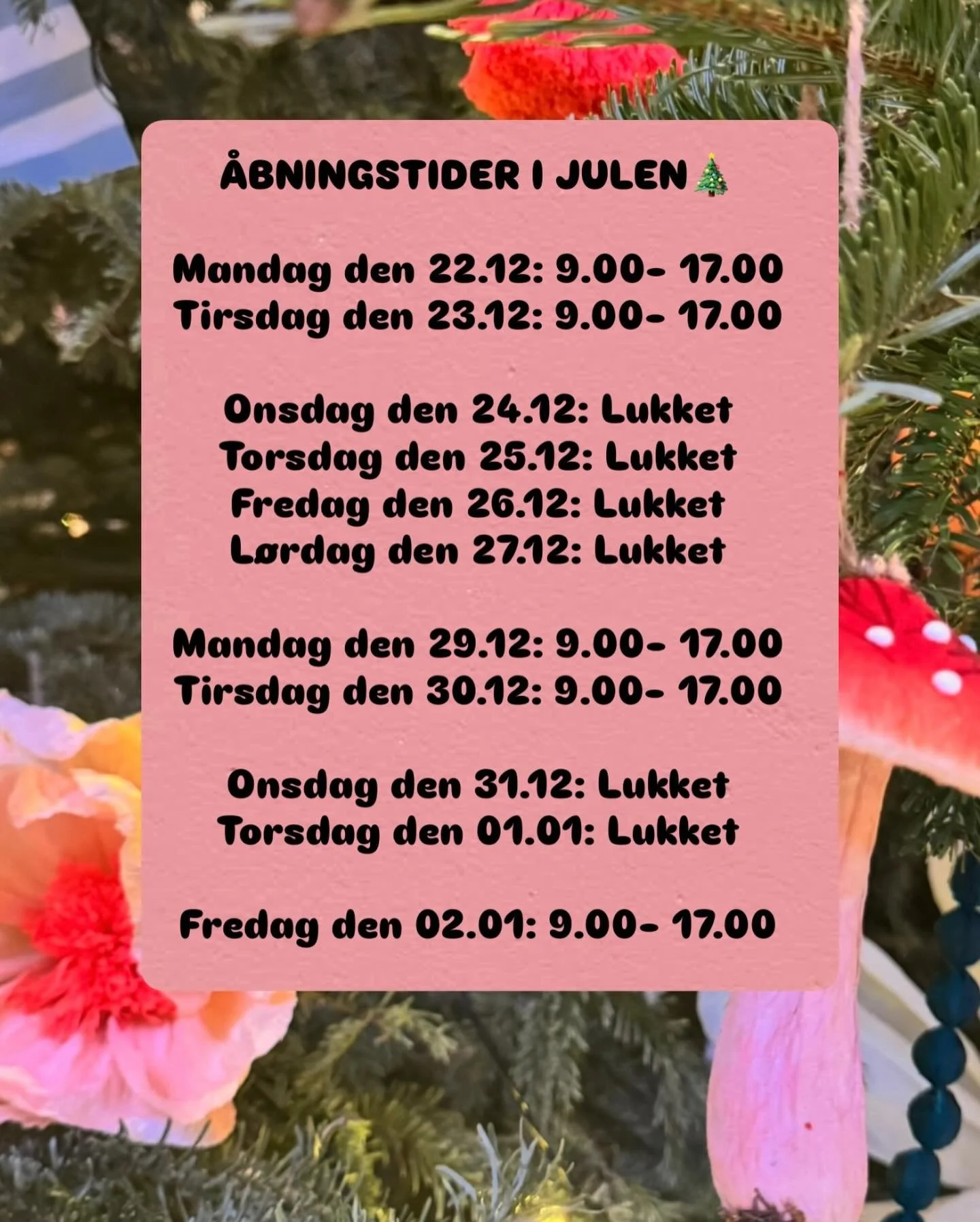 Vores &aring;bningstider i julen 2025 i brillehuset🎄