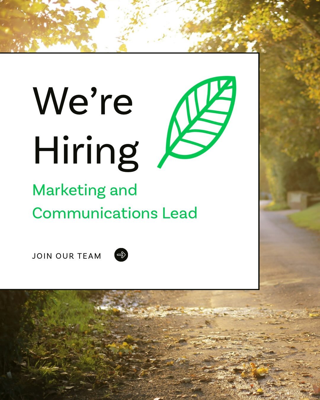 Apply to be our Marketing and Communications Lead 🍃

This is a varied and rewarding opportunity to lead the marketing and communications function for a well-established local charity. Through your work, you will make a tangible difference to the liv