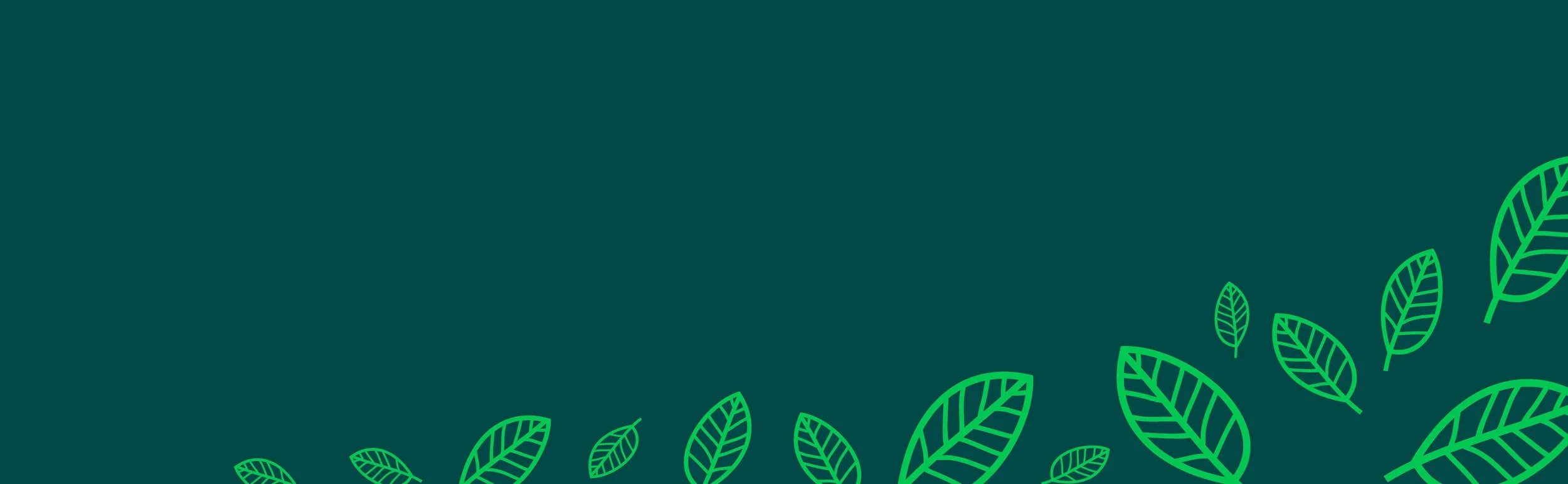 Client led fundraising event at Rose Hill Community Centre: July 2025
