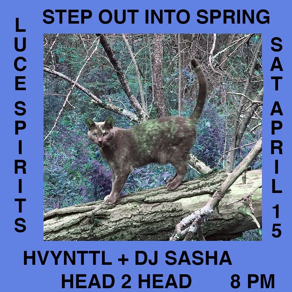 This Saturday 🪵🐈