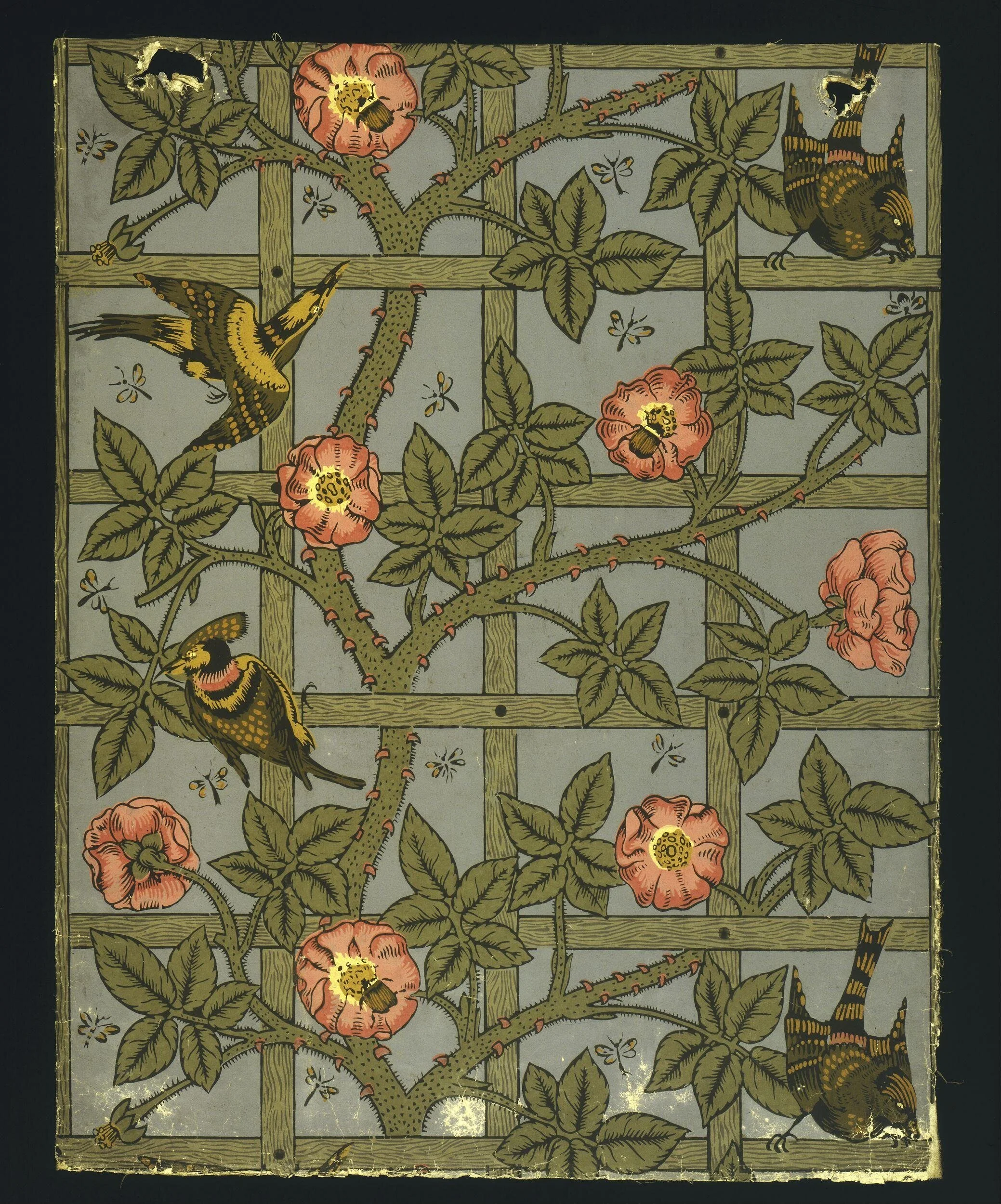 Trellis patterned wallpaper with birds and pink climbing roses