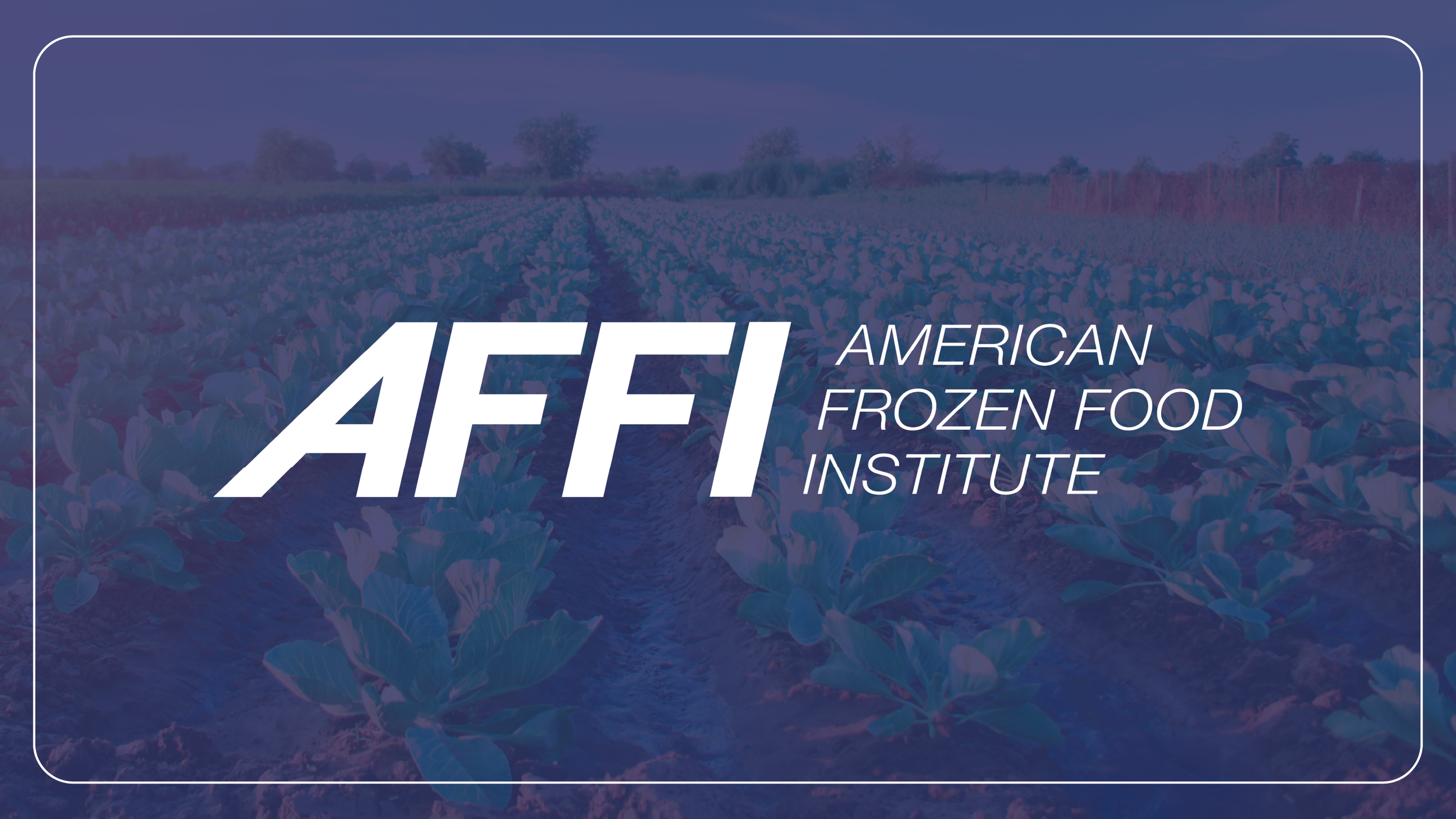 American Frozen Food Association: Amplified Awareness