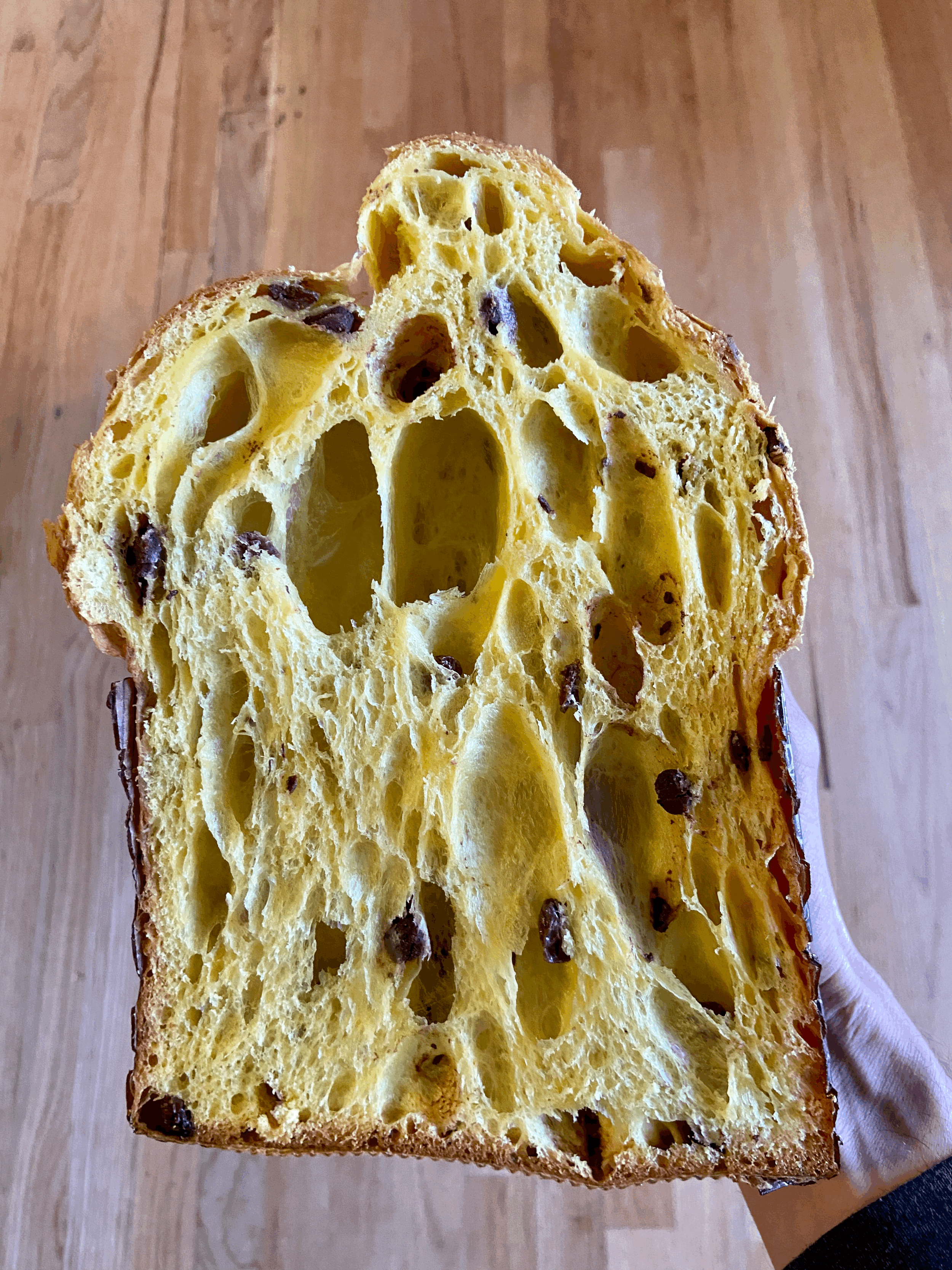 Only Chocolate Chip Panettone