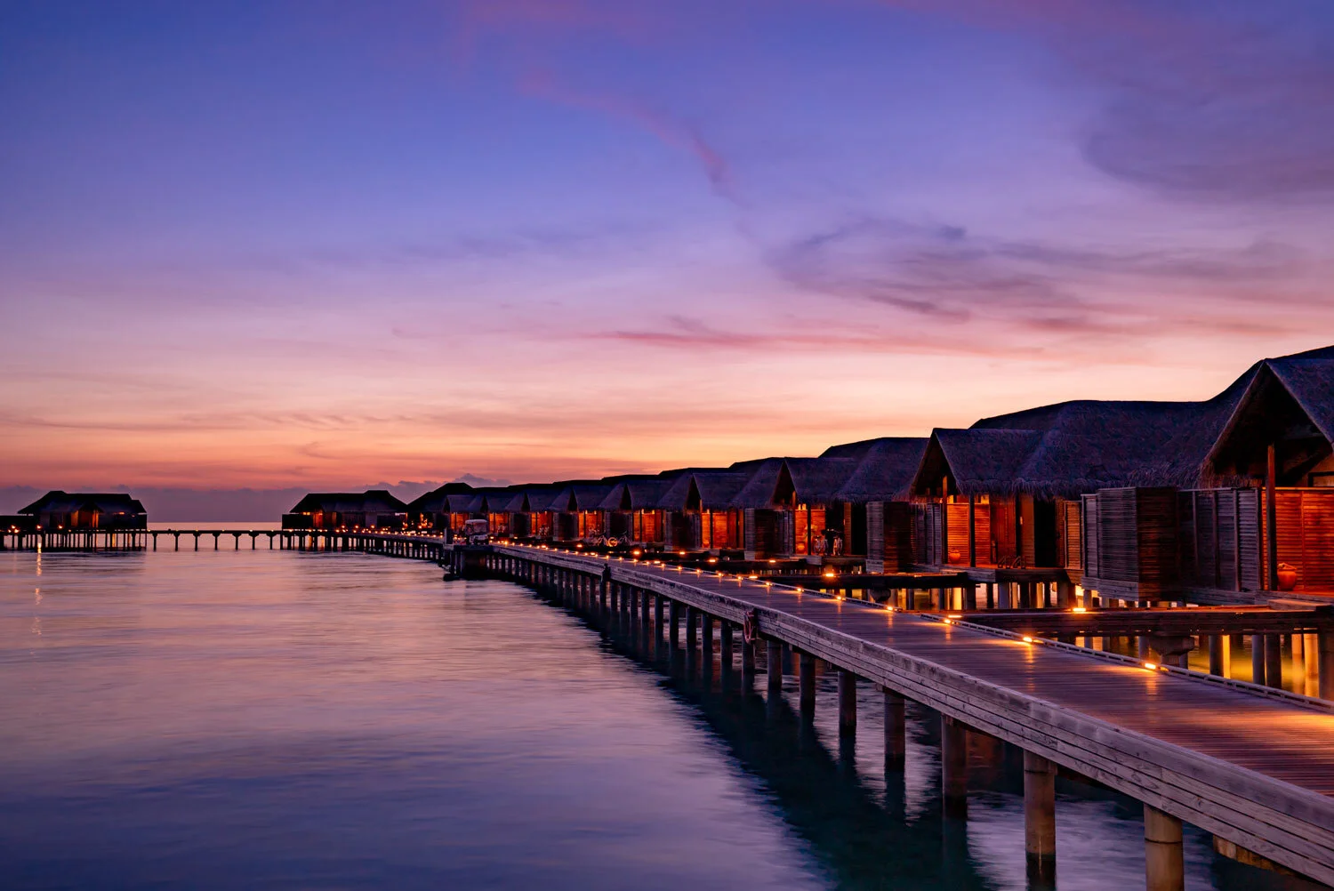 SiteMinder creates the new standard for modern hotel chains and groups to manage their distribution