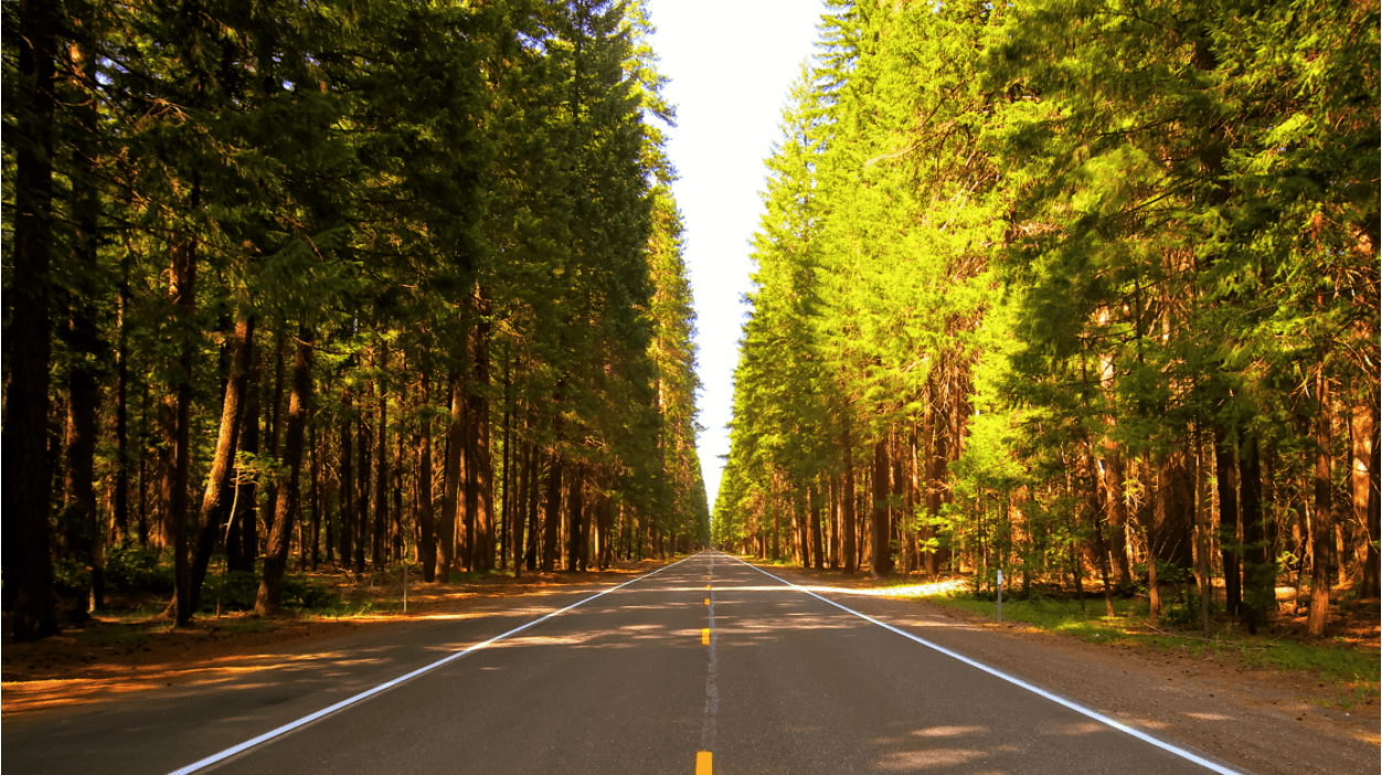 Where does the payment technology road lead?