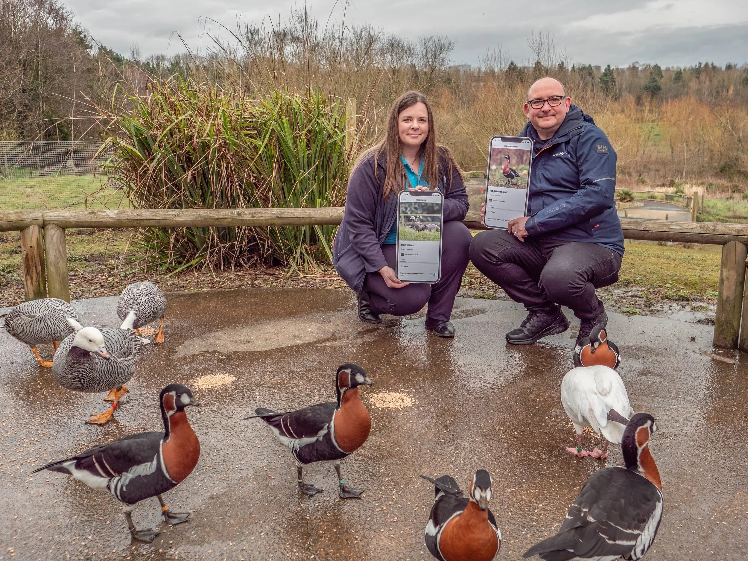 Global attraction experience software specialist partners with wetlands trust to launch new visitor app