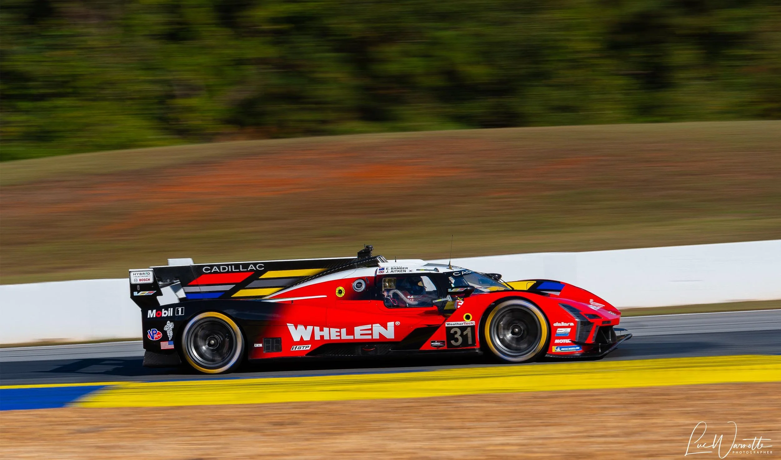 Wining Whelen Cadillac V-Series.R #31