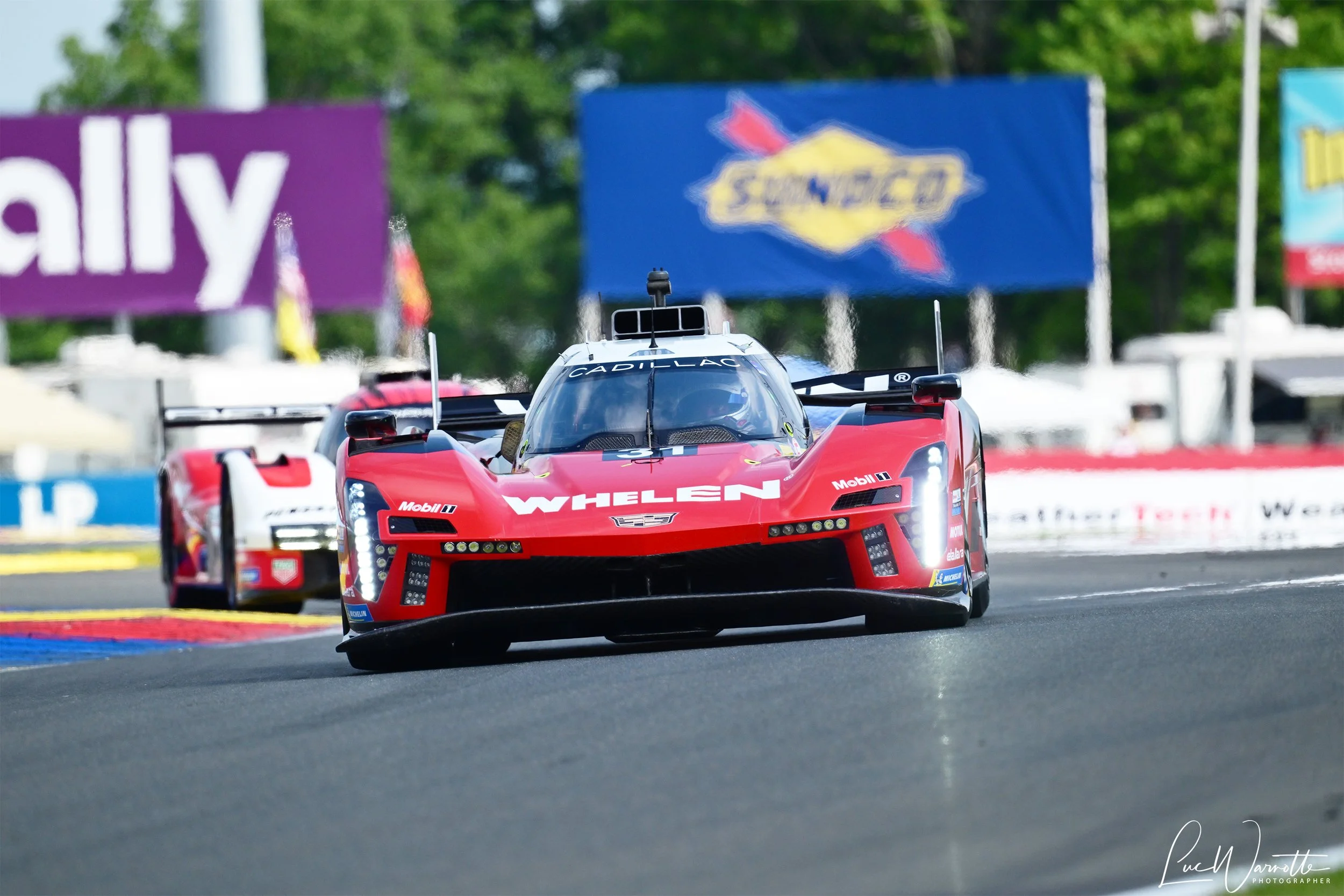 #31 Whelen Cadillac V-Series.R