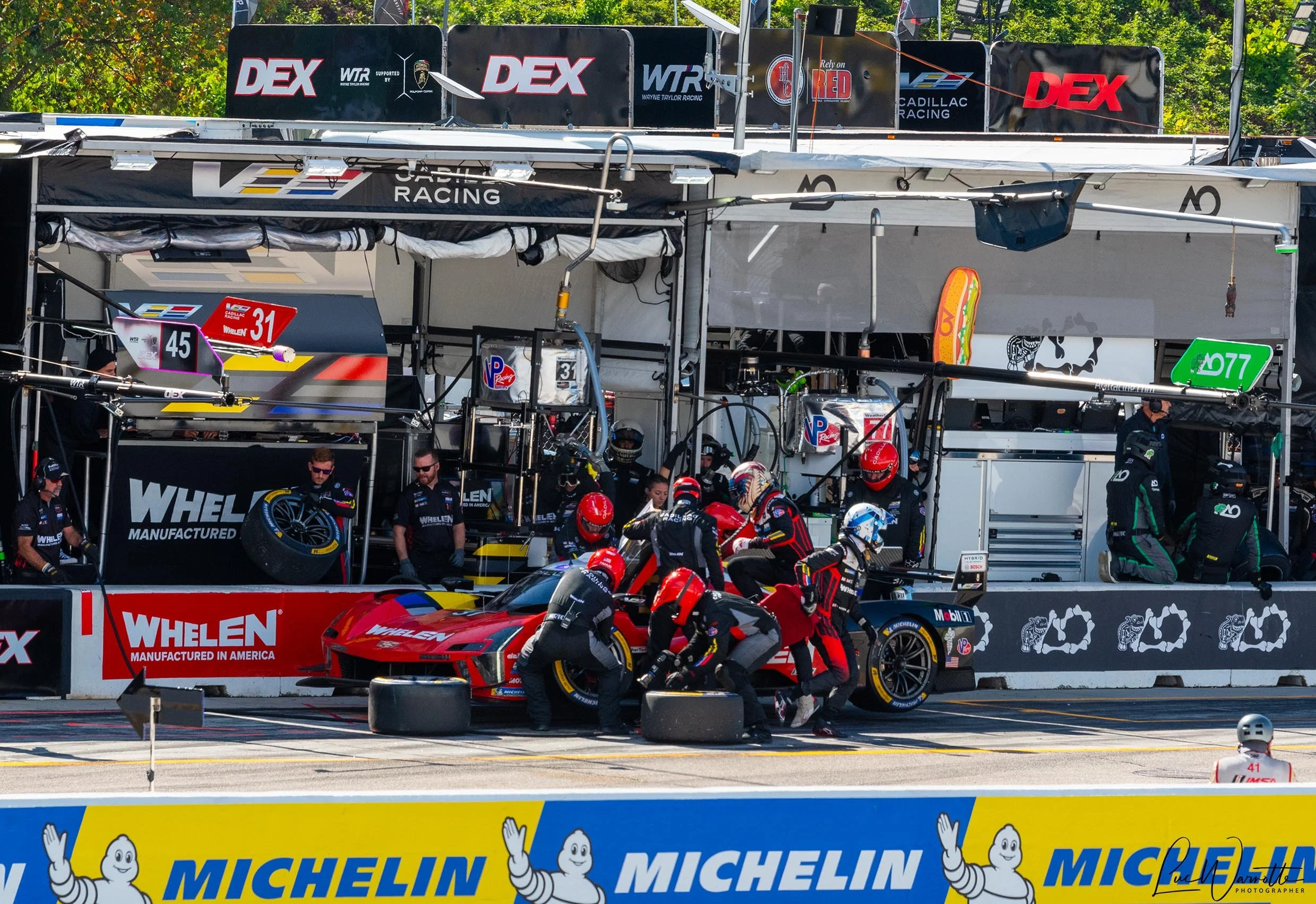 Wining Whelen Cadillac V-Series.R #31