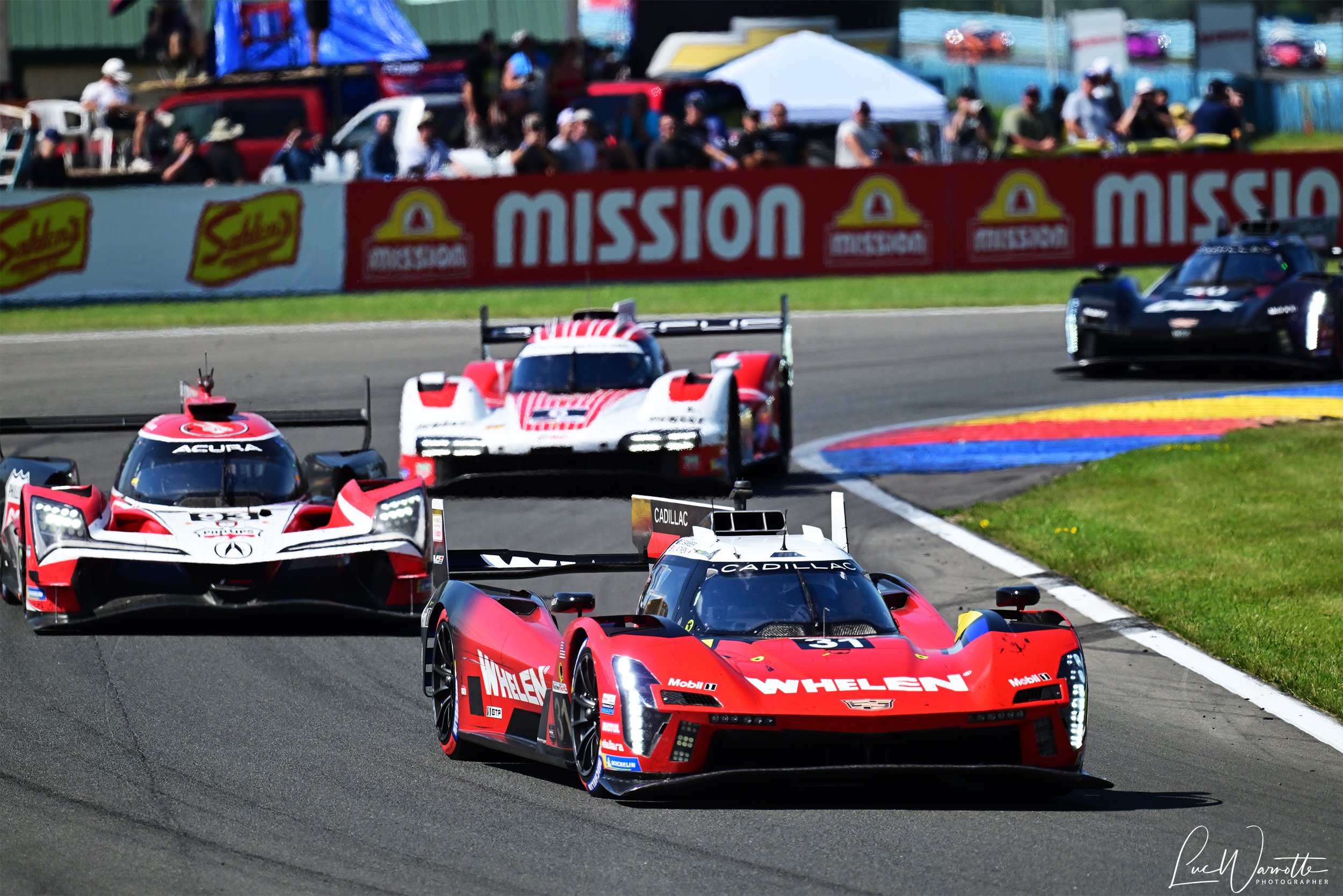 Aitken in #31 Whelen Cadillac